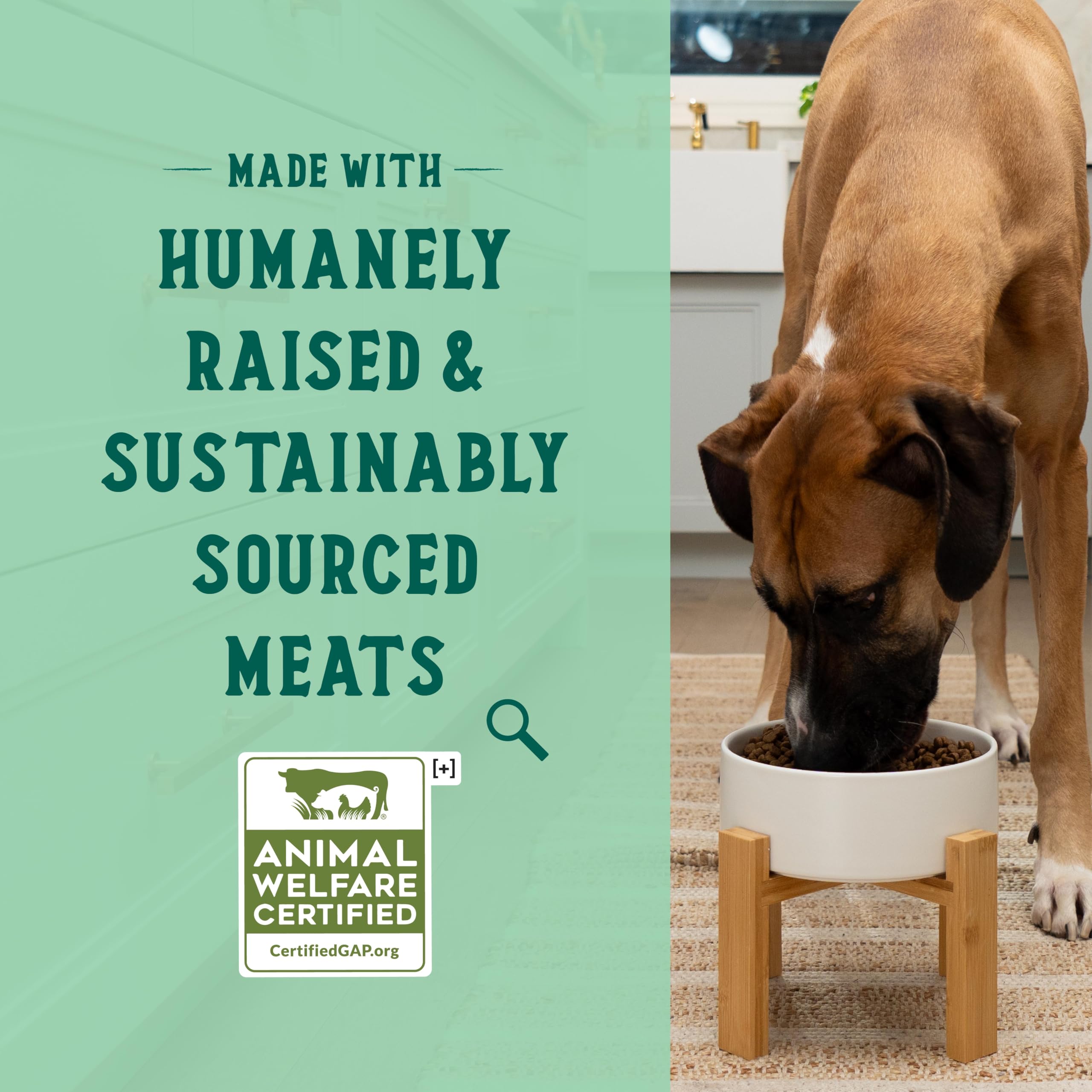 Open Farm Goodbowl, Oven-Baked Small Batch Dry Dog Food - Harvest Chicken & Brown Rice Recipe, Includes Non-GMO Produce & Grains