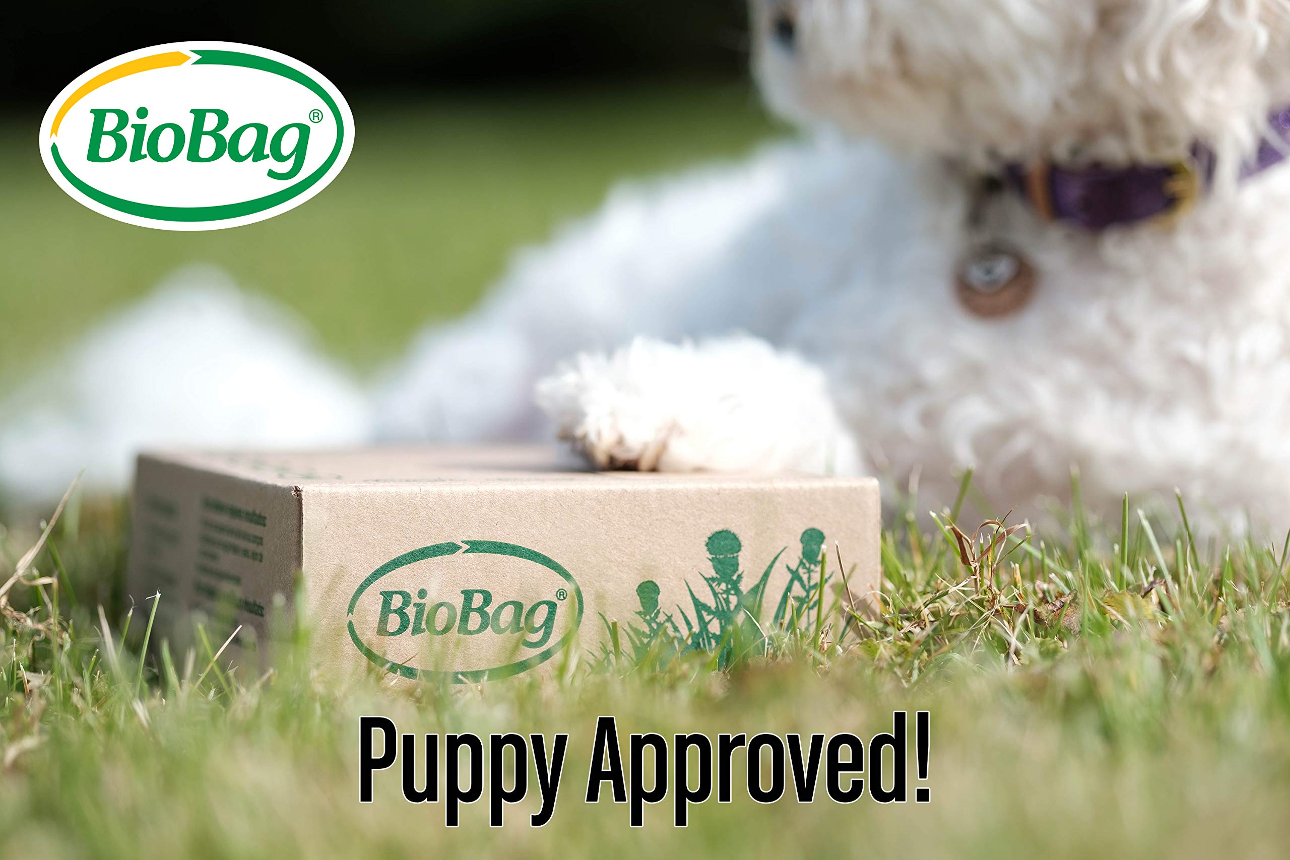 Biobag, Pet Waste Bags, 50 Count