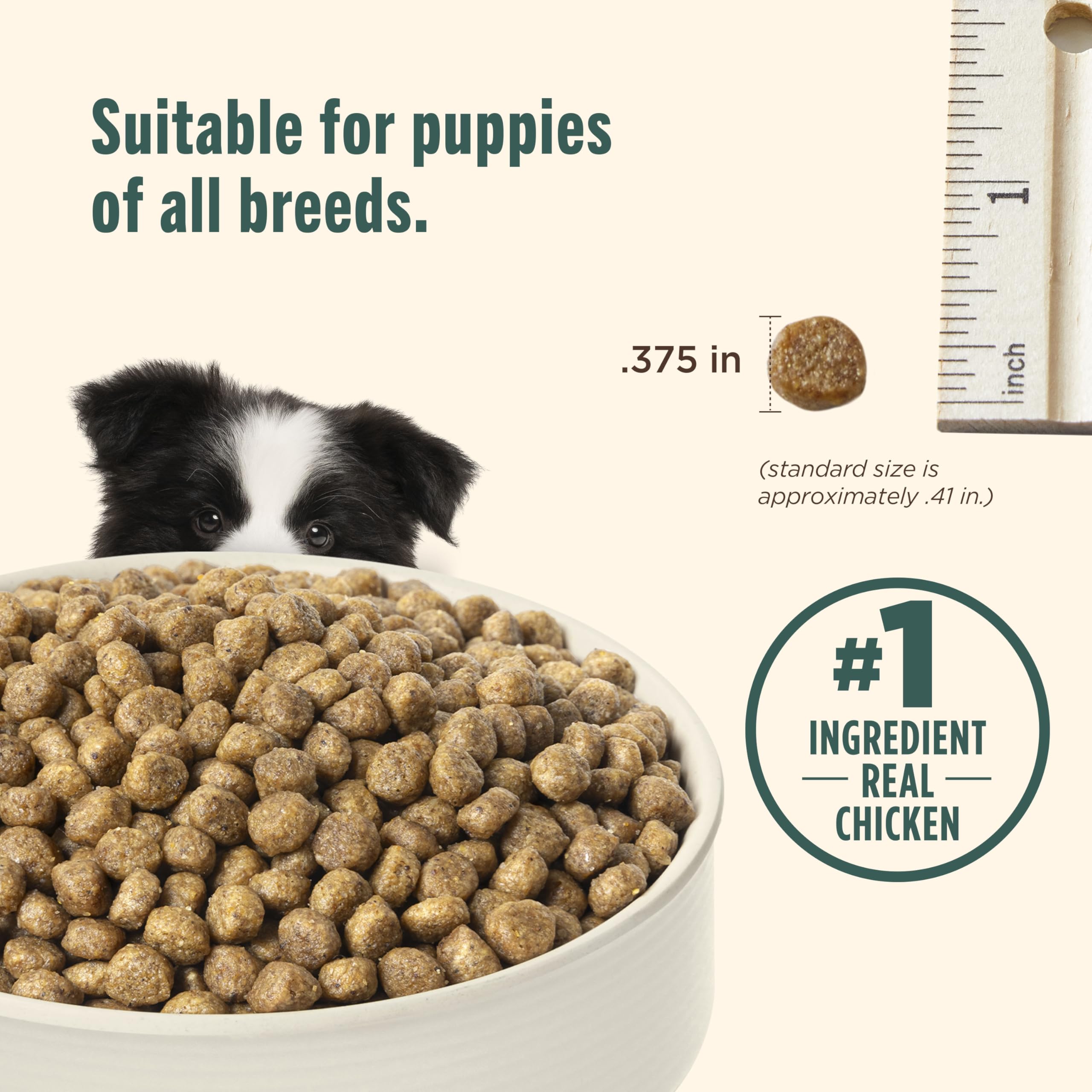 Nutrish Puppy Real Chicken & Brown Rice Recipe Whole Health Blend Dry Dog Food, 6 lb. Bag, Packaging May Vary (Rachael Ray)
