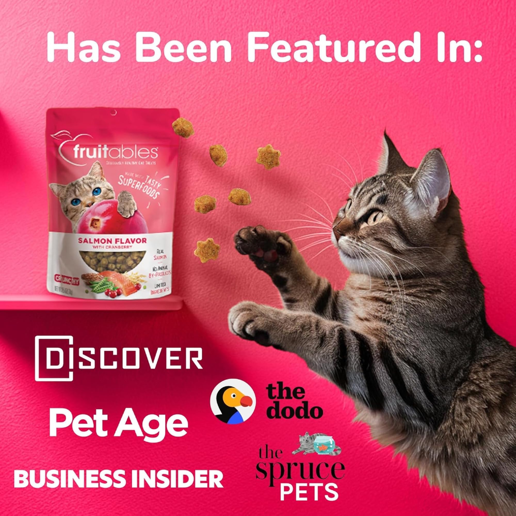 Fruitables Cat Crunchy Treats For Cats - Healthy Low Calorie Packed with Protein - Free of Wheat, Corn and Soy - Made with Real