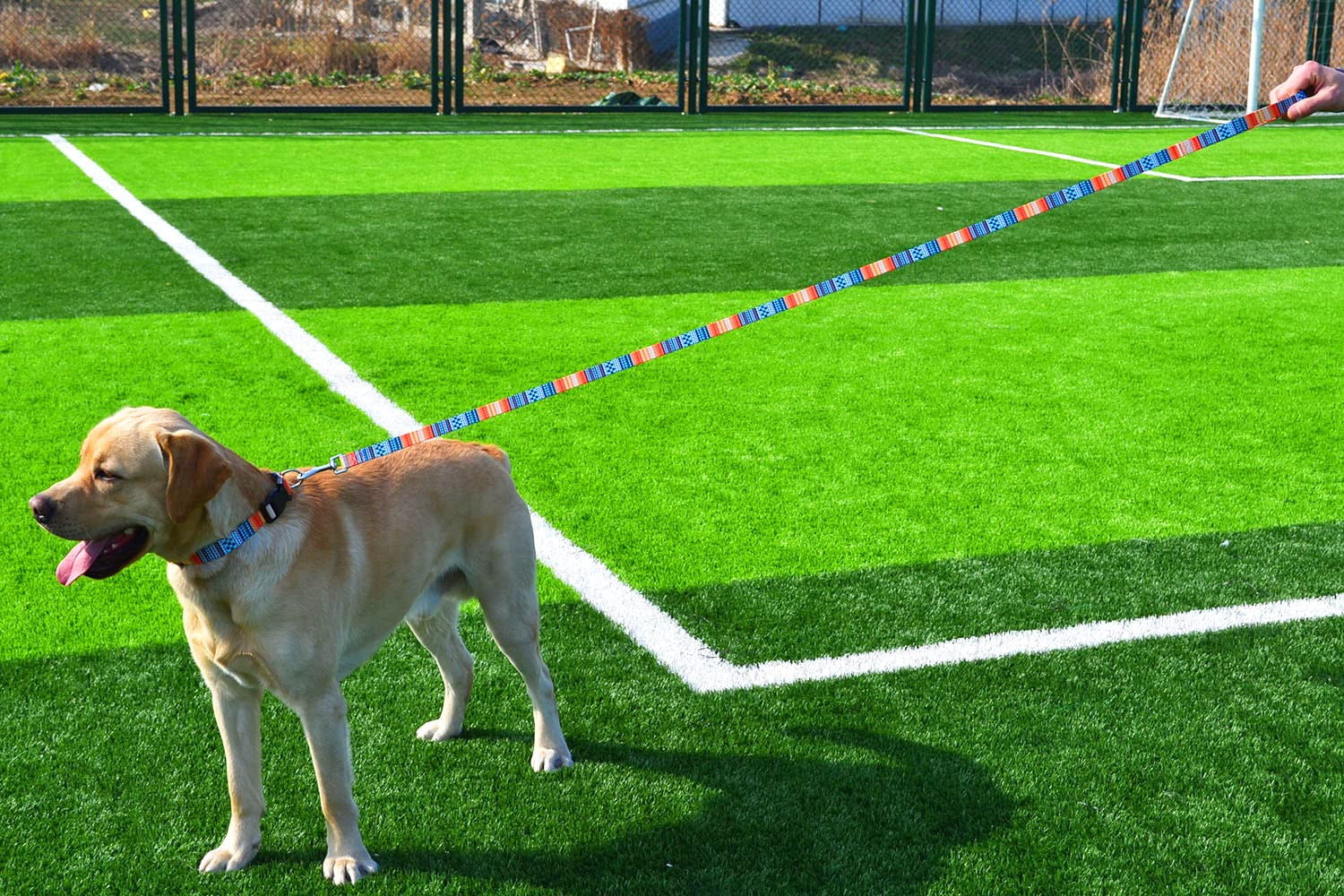 Mihqy Dog Collar And Leash Set With Bohemia Floral Tribal Geometric Patterns - Soft Ethnic Style Collar Adjustable For Small Medium Large Dogs(Bohemian Orange Set,Xs)