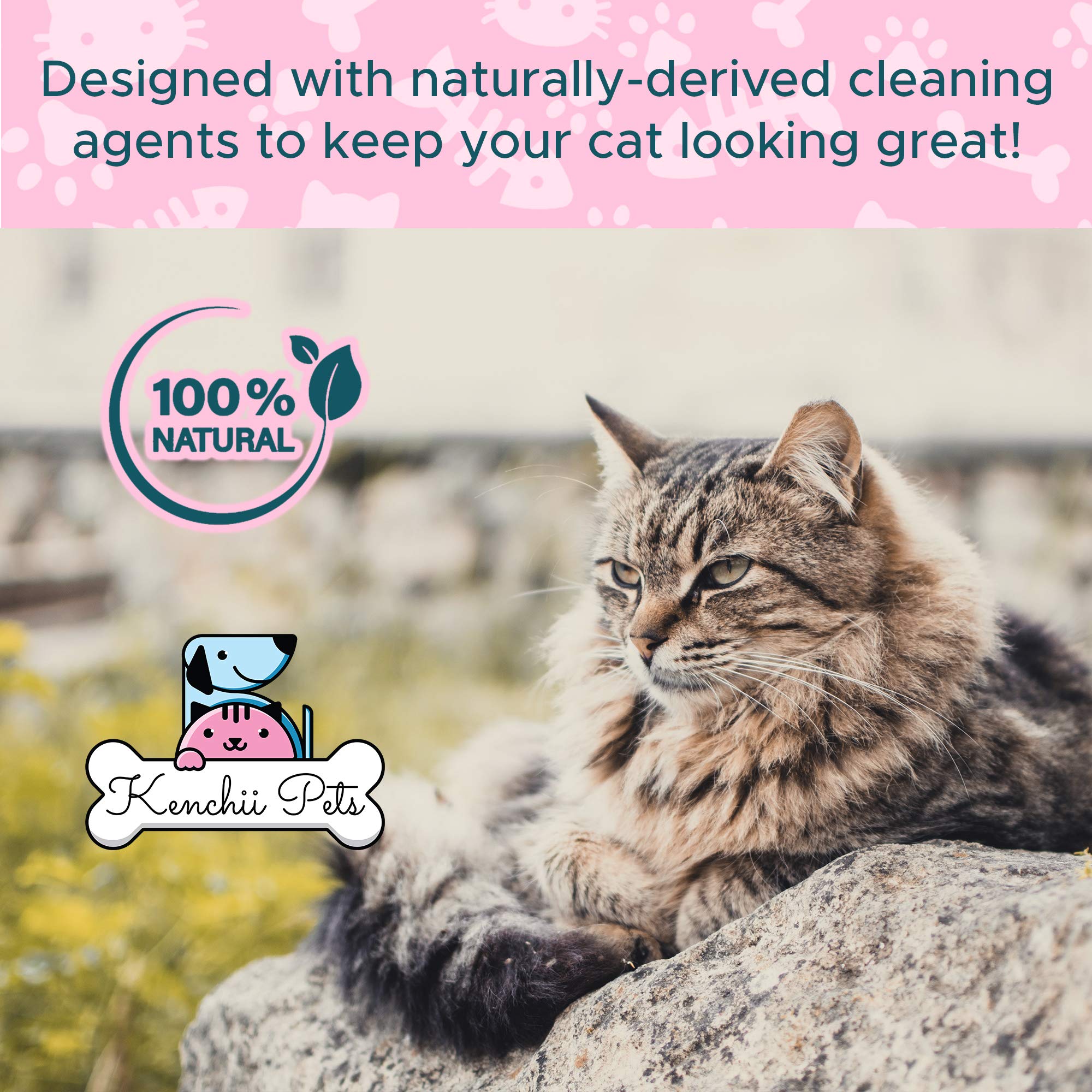 Professional Pet Grooming Spray For Kittens And Cats | All-Natural Scented Moisturizing Cat Detangler Spray | Kitten Conditioner