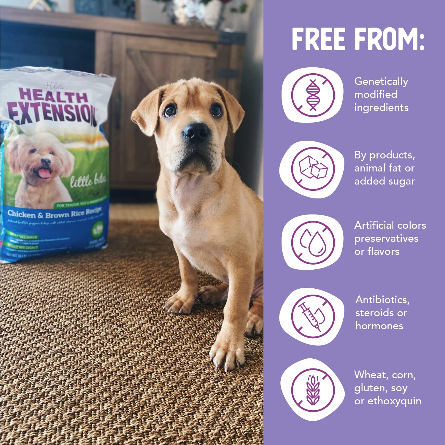 Health Extension Little Bites Chicken & Brown Rice Dry Dog Food (4 lb / 1.8 Kg) - Natural with Probiotics and Superfoods for Tea