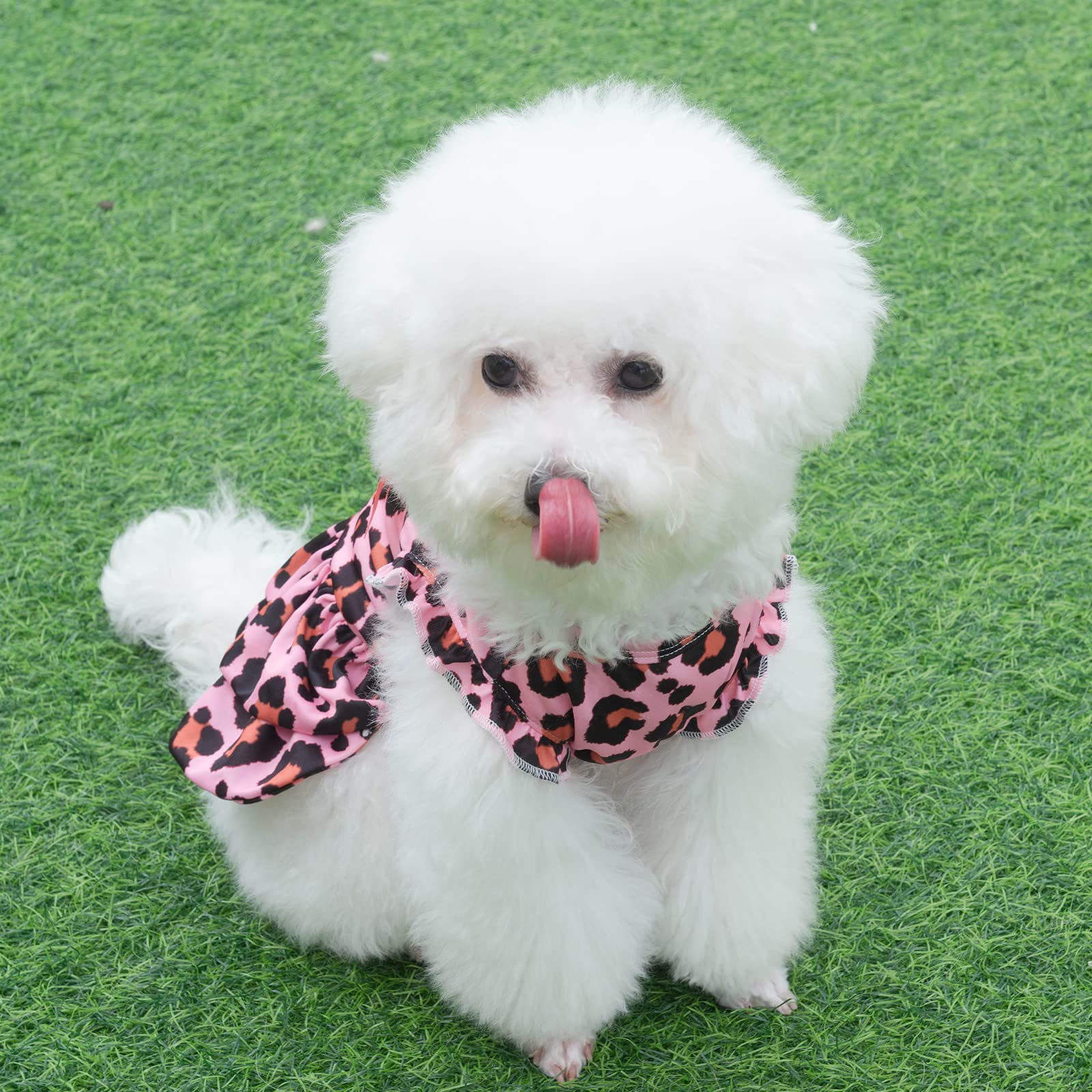Cutebone Dog Dress Girl Puppy Double Layers Skirt Cat Outfit Pet Clothes For Small Dogs Costume Birthday Gift Dr23M