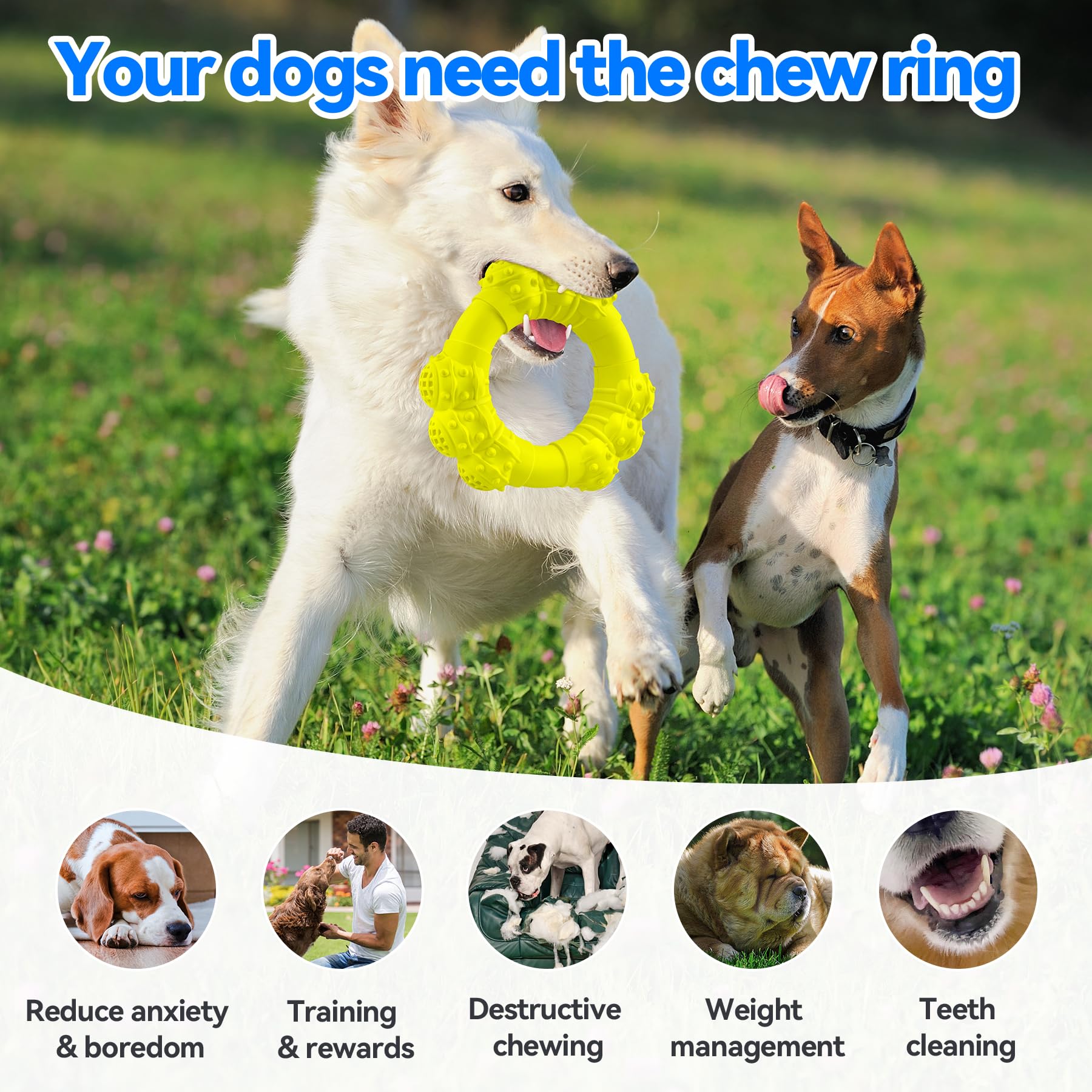 Daoziji Indestructible Dog Chew Ring Toys For Aggressive Chewers, Super Chewer Dog Toys For Medium Large Dogs, Puppy Teething Ri