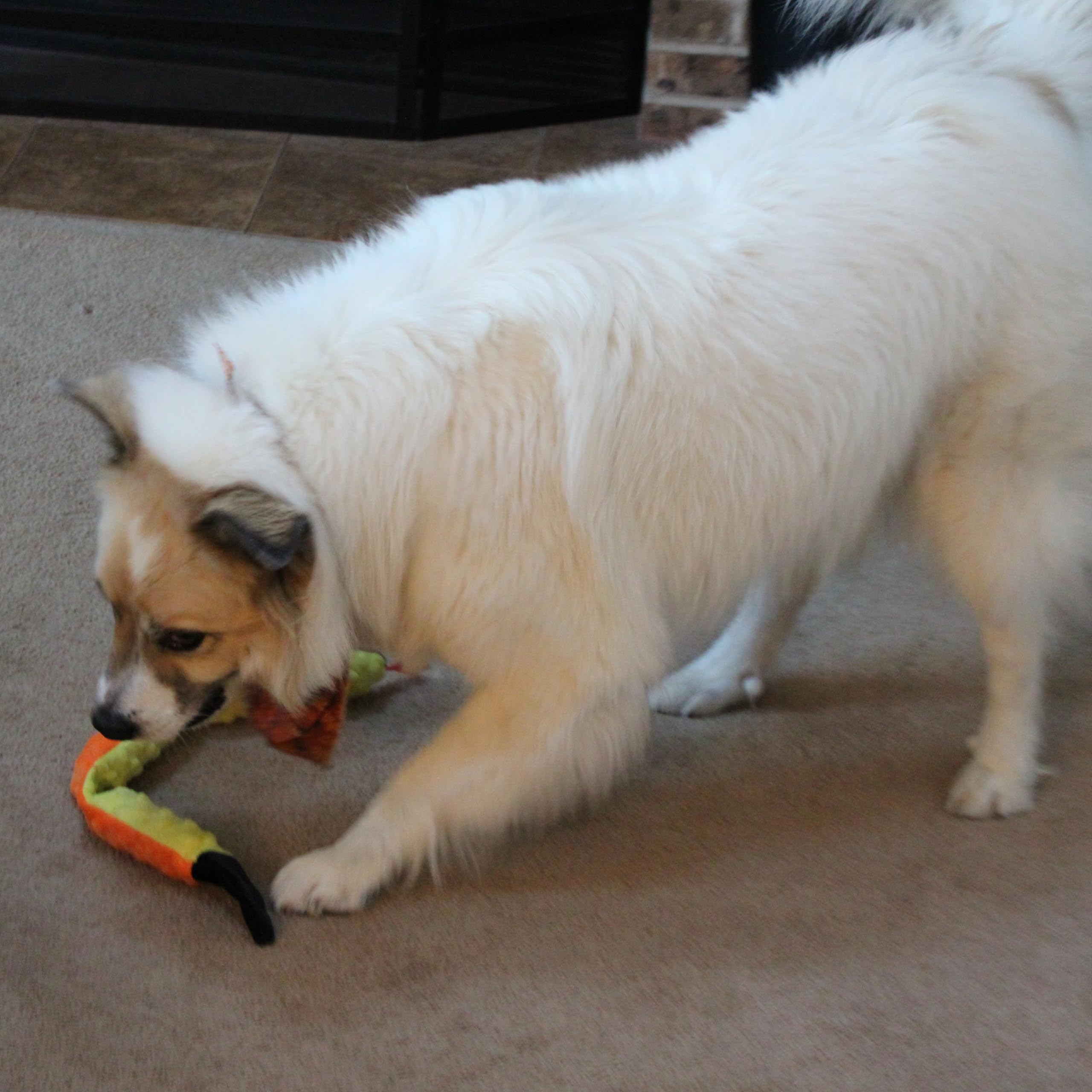 SPOT Skinneeez Extreme Triple Squeak Snake - Durable, Stuffing-Free Dog Toy with Rip-Stop Mesh & 3 Jumbo Squeakers, Built for Ag