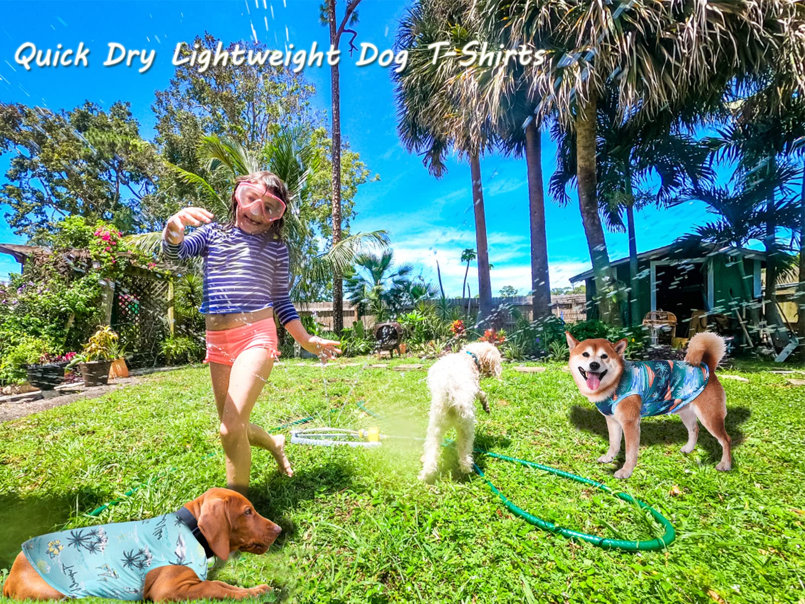 Y-Blue Dog Hawaiian Shirts,Summer Cooling Quick Dry Mesh Breathable T-Shirt Tops For Large Boy Girl Bulldog,Pink+Blue L