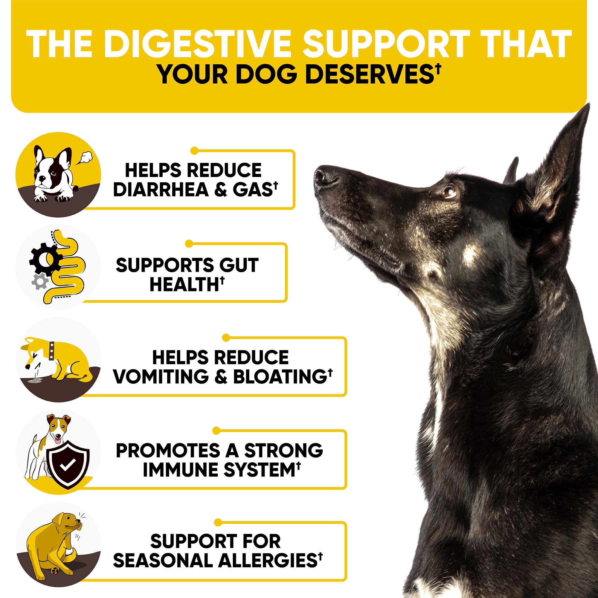 Probiotics Chews for Dogs w/Digestive Enzymes - Dog Probiotics to Support Gut Health, Alleviate Dog Itch, Soothe Itchy Skin, Dog