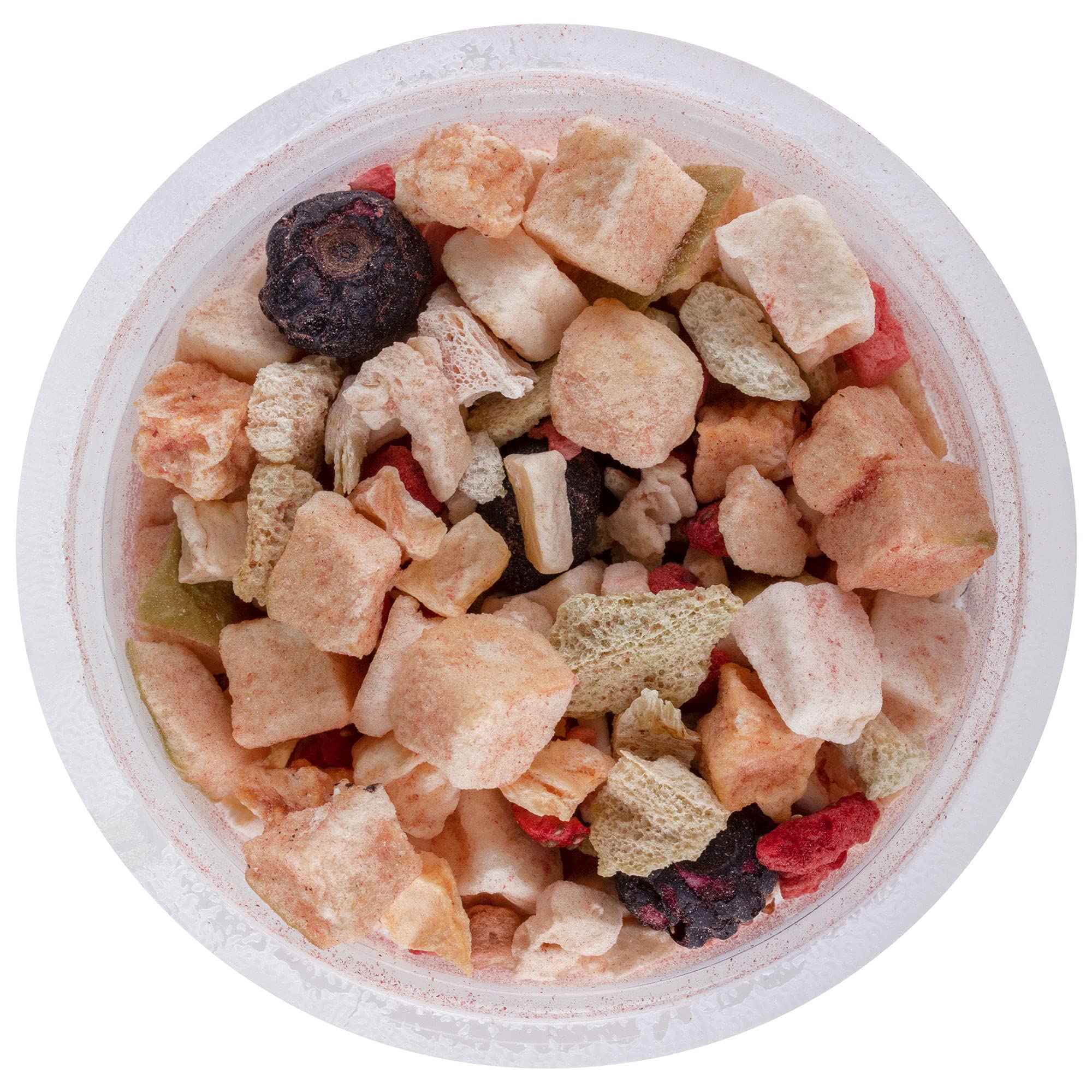 Healthy Herp Fruit Mix Instant Meal Reptile Food - Bearded Dragon Accessories & Bearded Dragon Food - Nutritious Blend for Beard