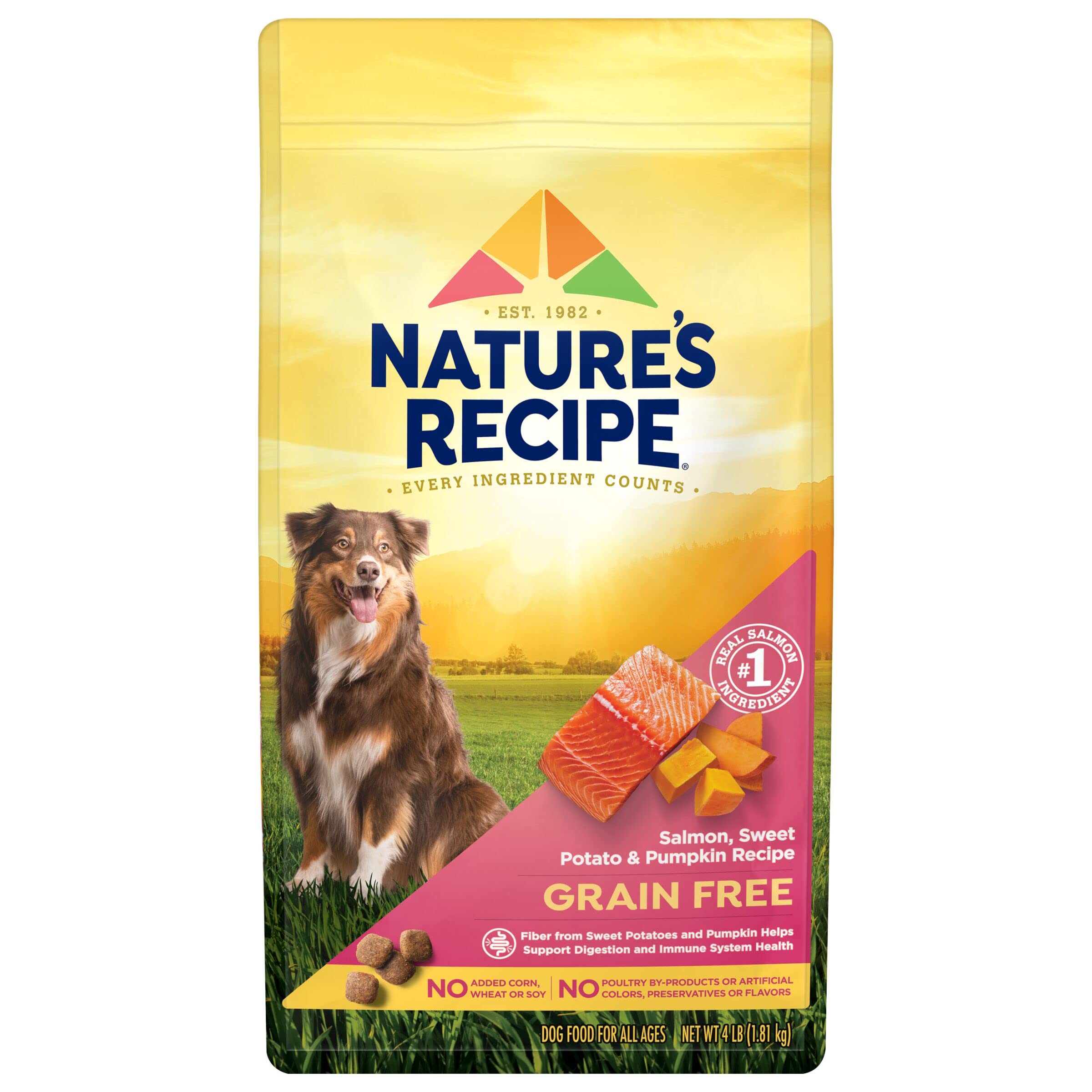 Nature s Recipe Grain Free Salmon, Sweet Potato & Pumpkin Recipe Dry Dog Food, 34 lb. Bag