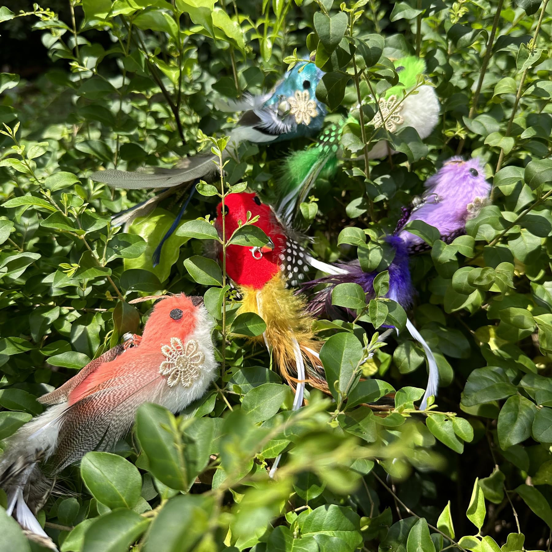 Cateneed Cat Feather Toys Refill, 5 Pieces Cat Wand Attachments Feathers Bird Toy For Indoor Cats