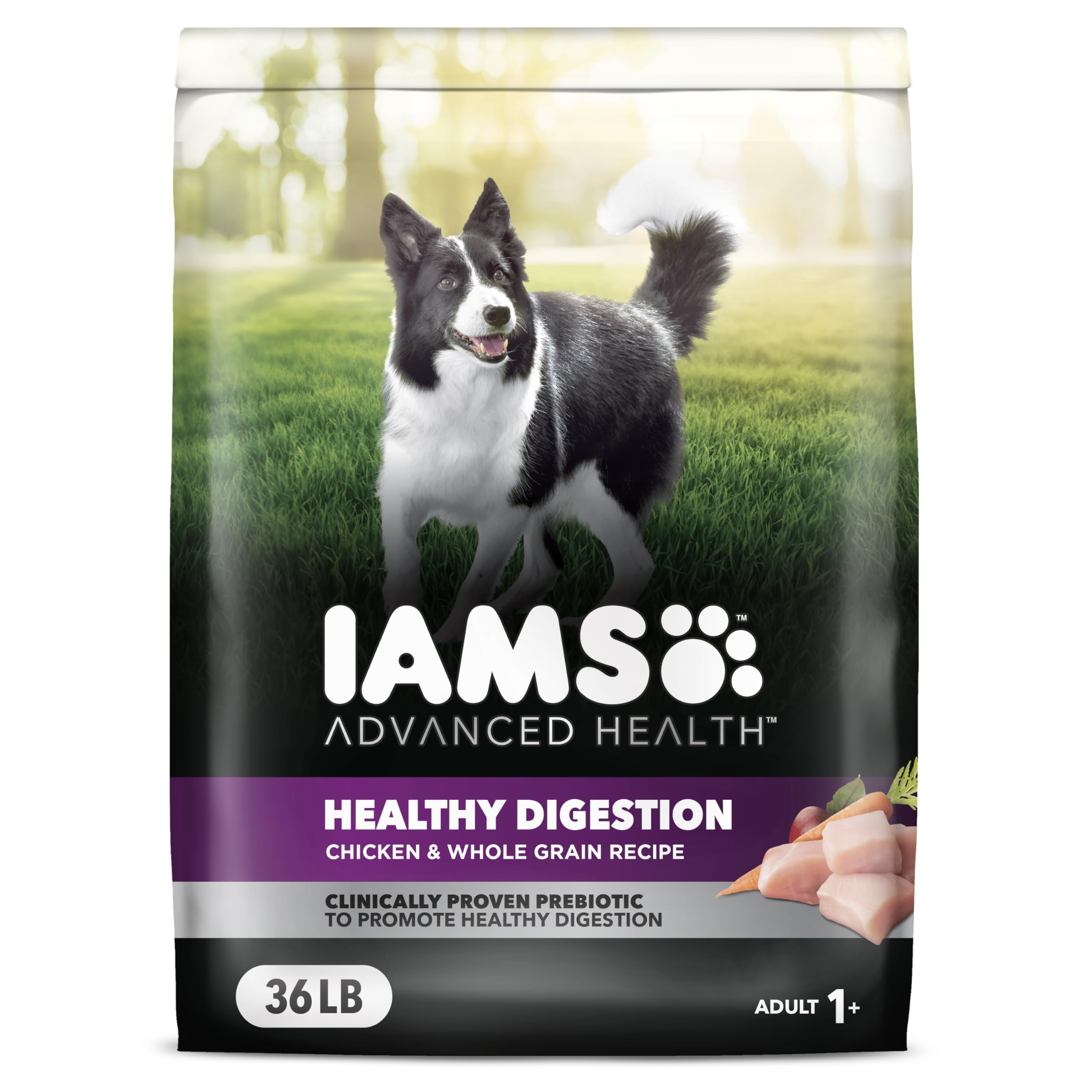 IAMS Advanced Health Healthy Digestion Adult Dry Dog Food with Real Chicken, 36 lb. Bag