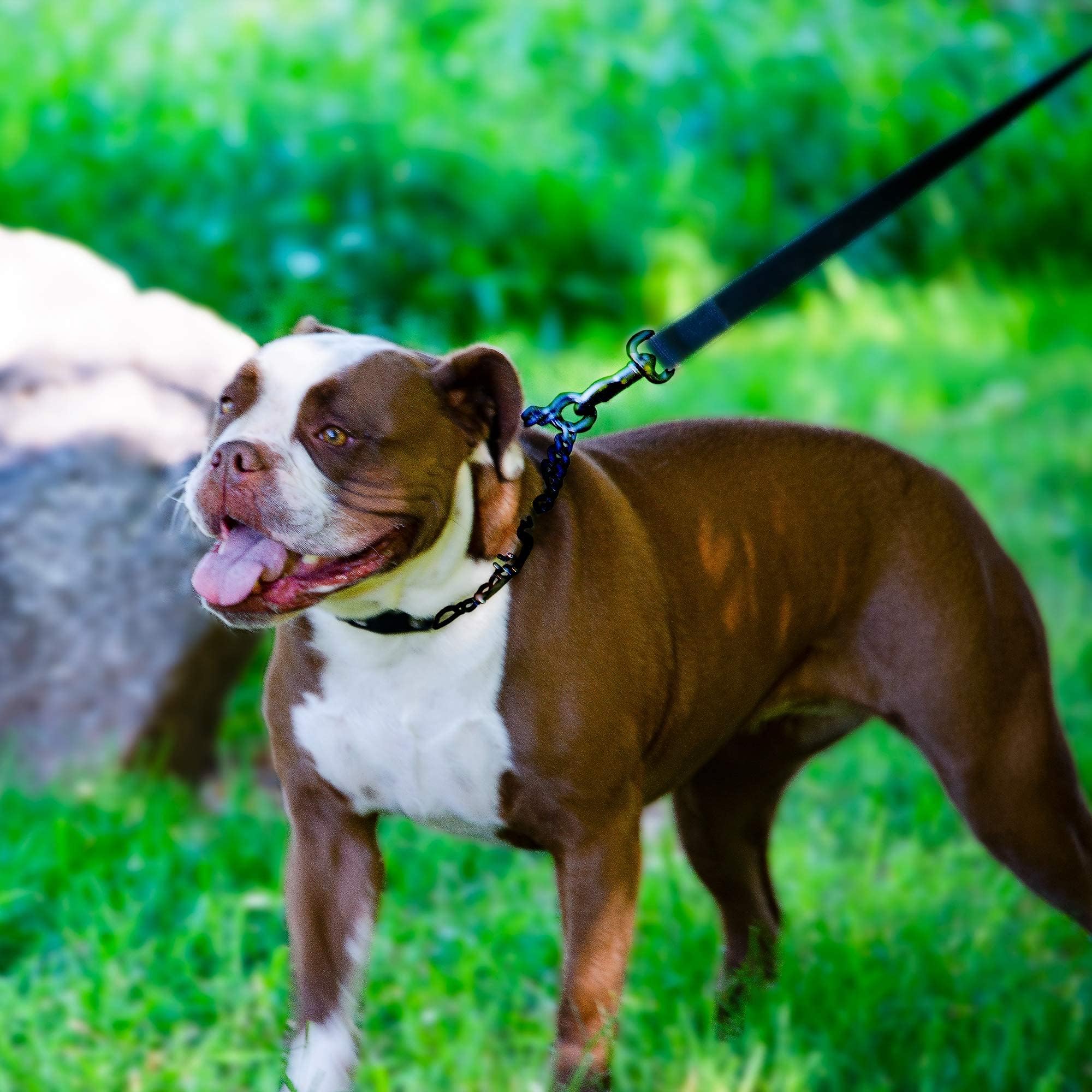 Herm Sprenger Prong Collar For Dog Training With Easy Quick Release Buckle - German Made Dog Collar With Chrome Plated Steel 4.0