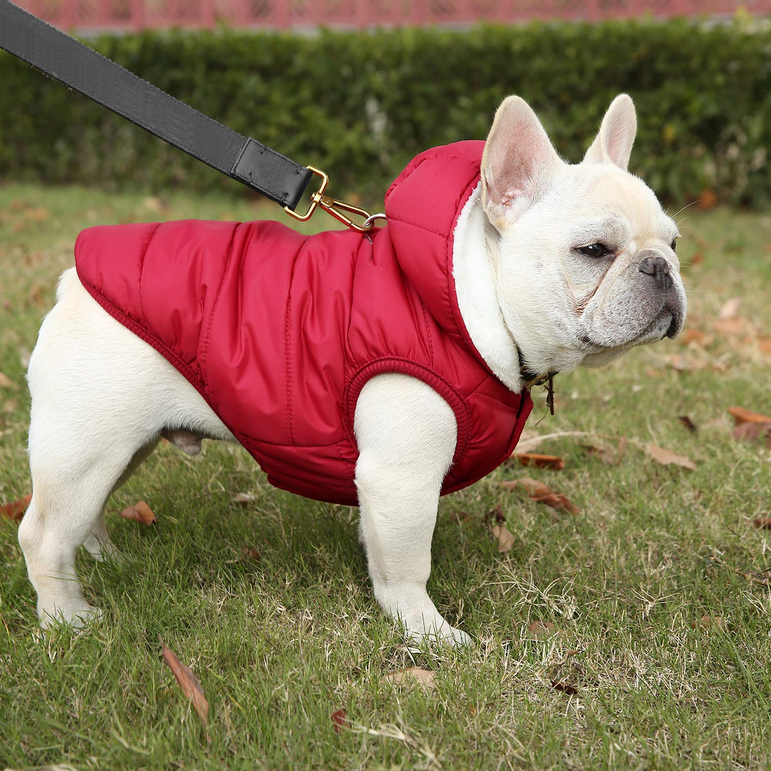 Dog Fleece Hoodie, Windproof Waterproof Dog Coat Fleece & Cotton Lined Warm Dog Jacket, Cold Weather Pet Apparel Clothes Vest For Small Medium Large Dog (Xs: Length 9.1', Chest 9.8'-11.8', Red)