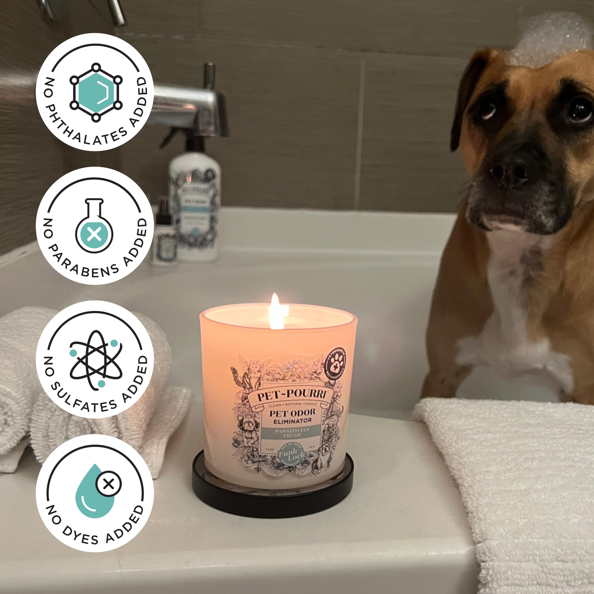 Pet-Pourri Pawsitively Fresh Pet Deodorizer Candle - Pet Safe Plant Based Ingredients & Wax - Vet Approved - Aromatherapy & Air