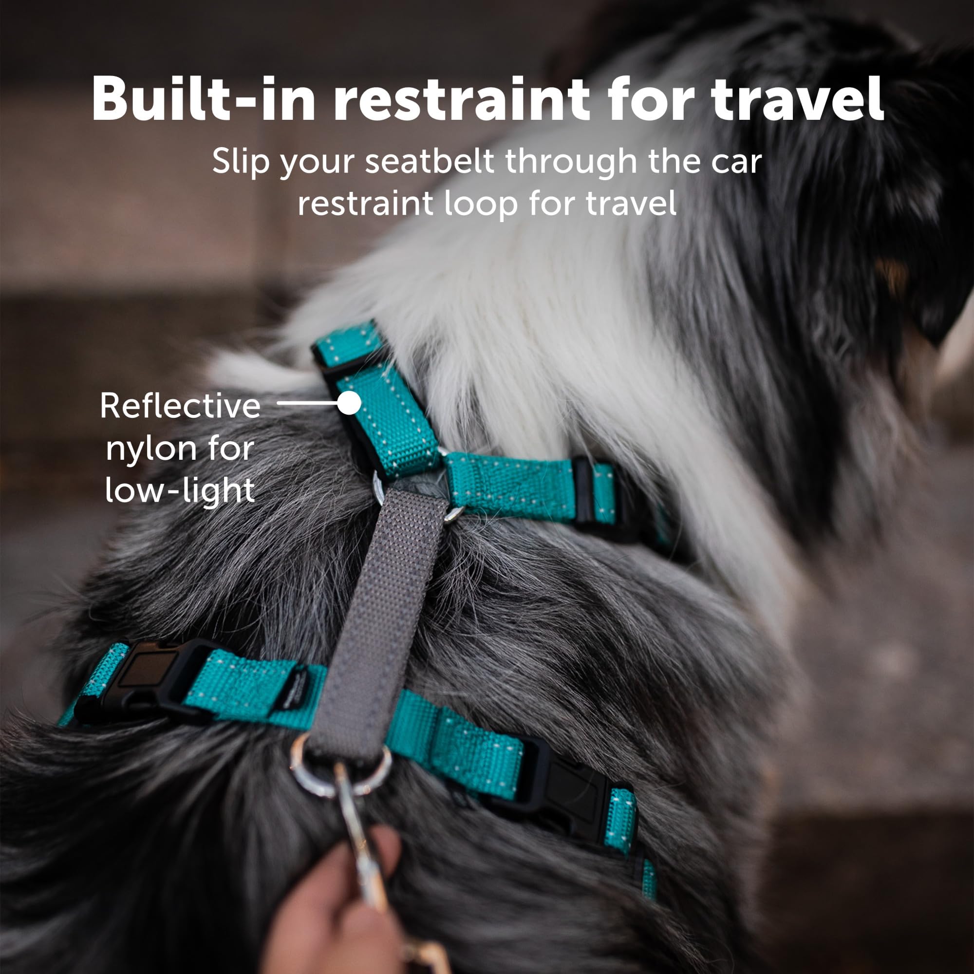 Petsafe 3 In 1 Dog Harness - No Pull Solution For Dogs - Reflective Dog Harness - Front D-Ring Clip Helps Stop Pulling - Comfortable Padded Straps - Top Handle Enhances Control - Teal - Extra Small