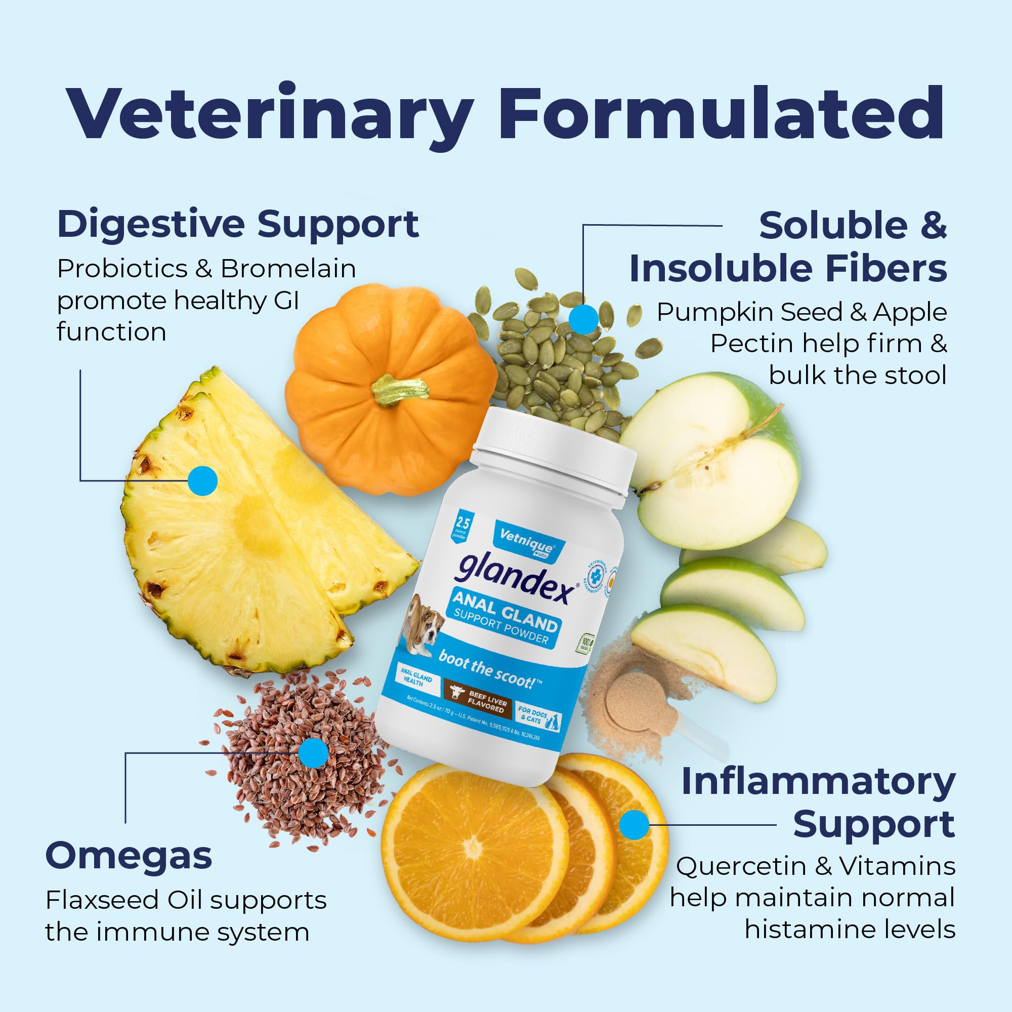 Vetnique Glandex Dog Fiber Supplement Powder for Anal Glands with Pumpkin, Digestive Enzymes & Probiotics - Vet Recommended (Reg