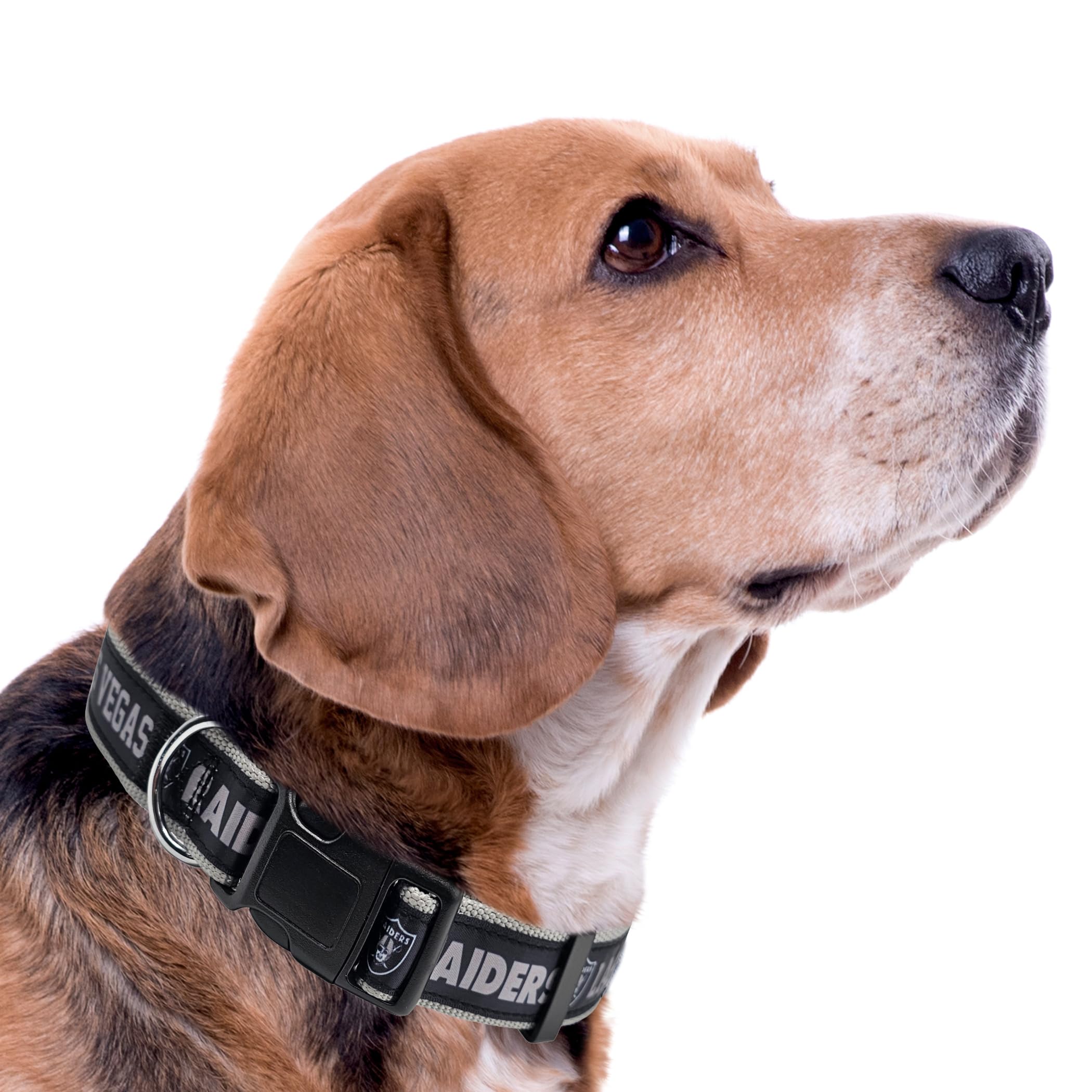 Pets First NFL Raiders Licensed PET COLLAR, Small - Heavy-Duty, Strong, and Durable Dog Collar. Available in 31 Football Teams a