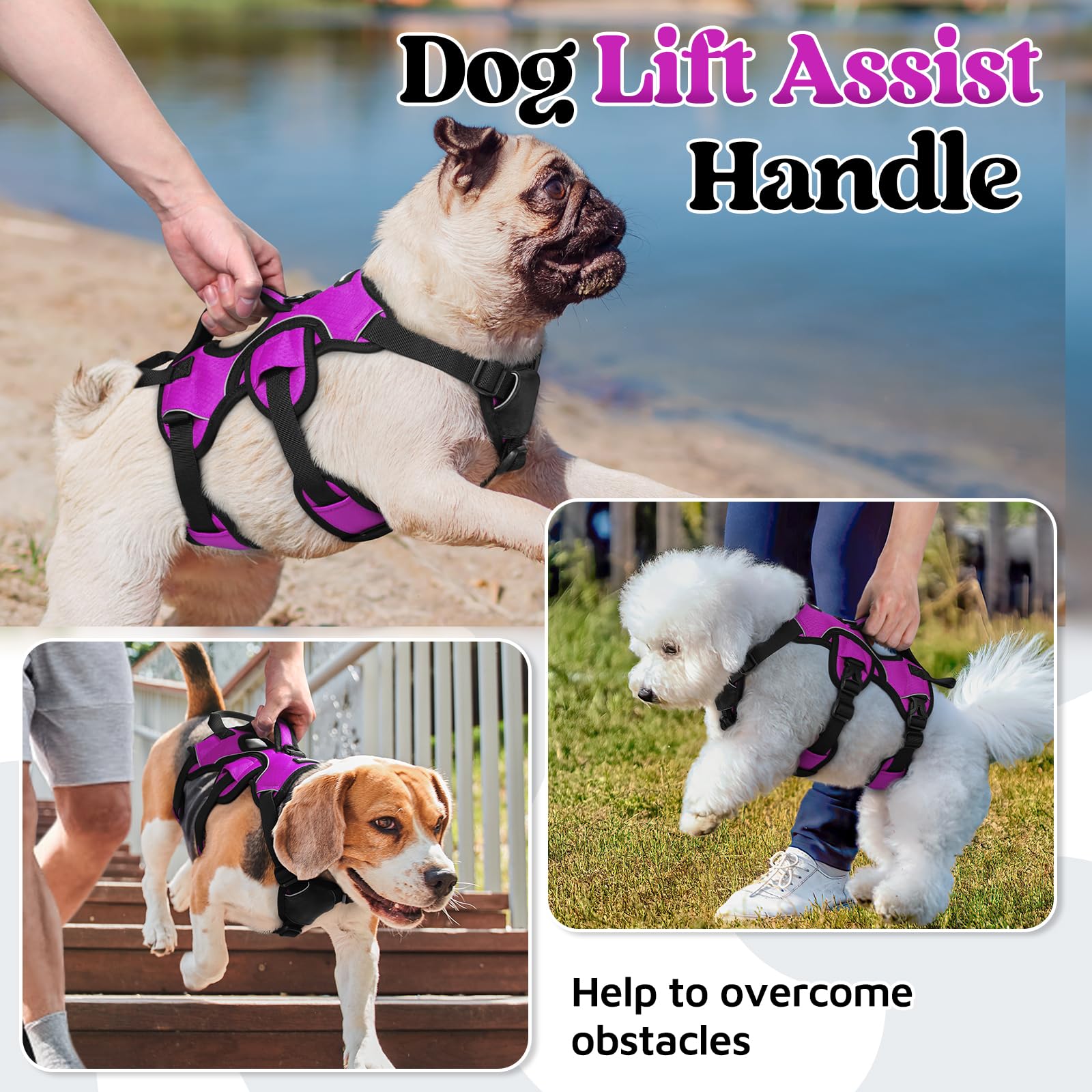 Rabbitgoo Escape Proof Dog Harness, Soft Padded Full Body Pet Harness, Reflective Adjustable No Pull Vest With Lift Handle And L