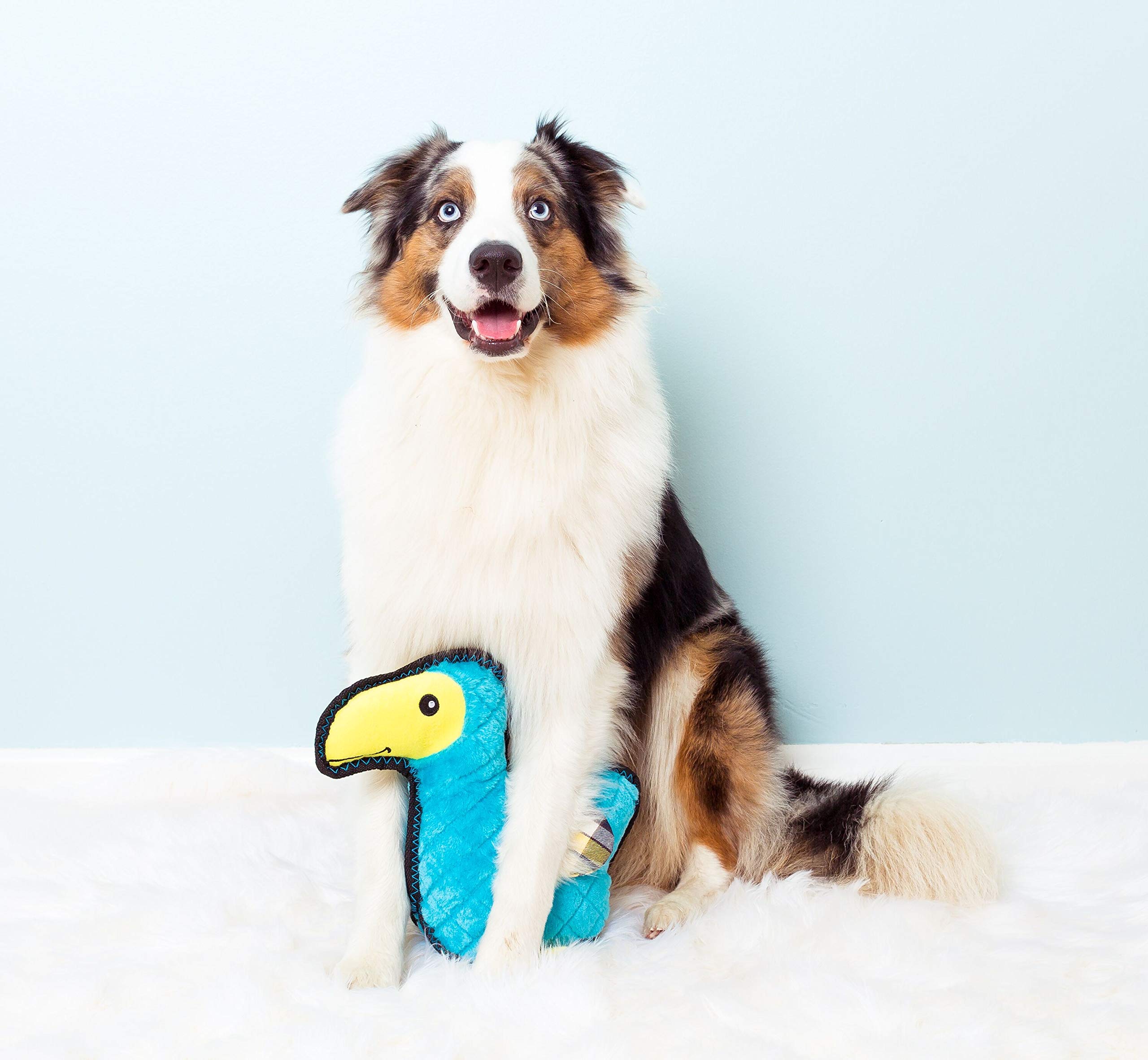 Zippy Paws - Z-Stitch Grunterz Durable Stuffed Squeaky Dog Toy - Dodo The Dodo Bird