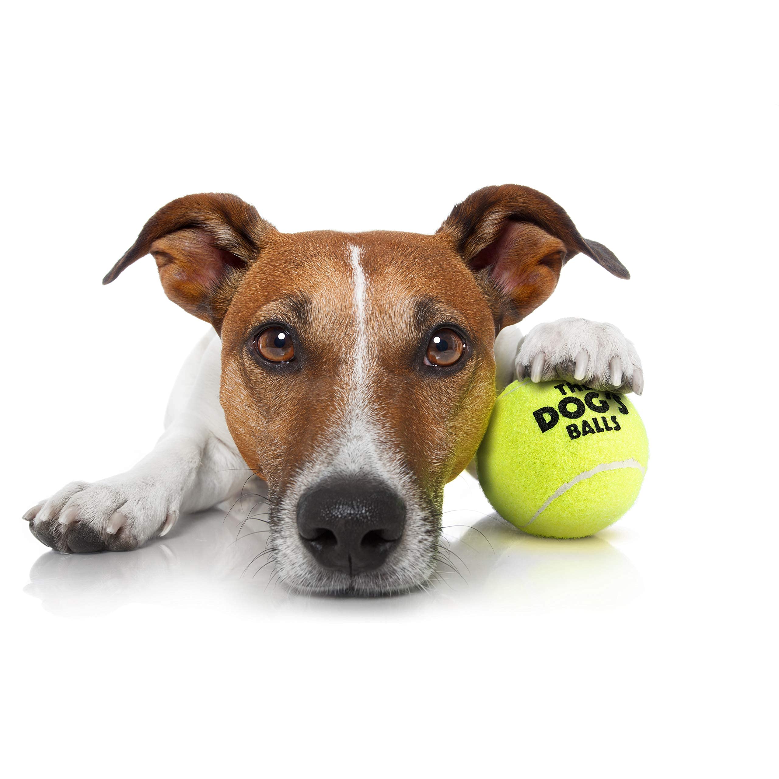 The Little Dog'S Balls, Dog Tennis Balls, 6-Pack Yellow Dog Toy, Strong Dog & Puppy Ball For Training, Play, Exercise & Fetch