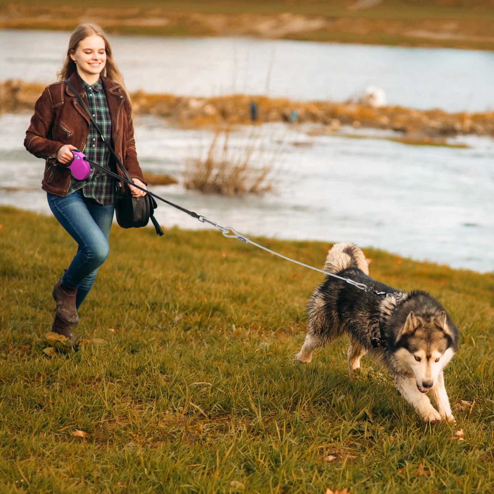 Crown Paws 16Ft Retractable Dog Leash For Large Breed Dogs Up To 110 Lbs With A Detachable Chew Proof Extender Wire Ropes (Pink