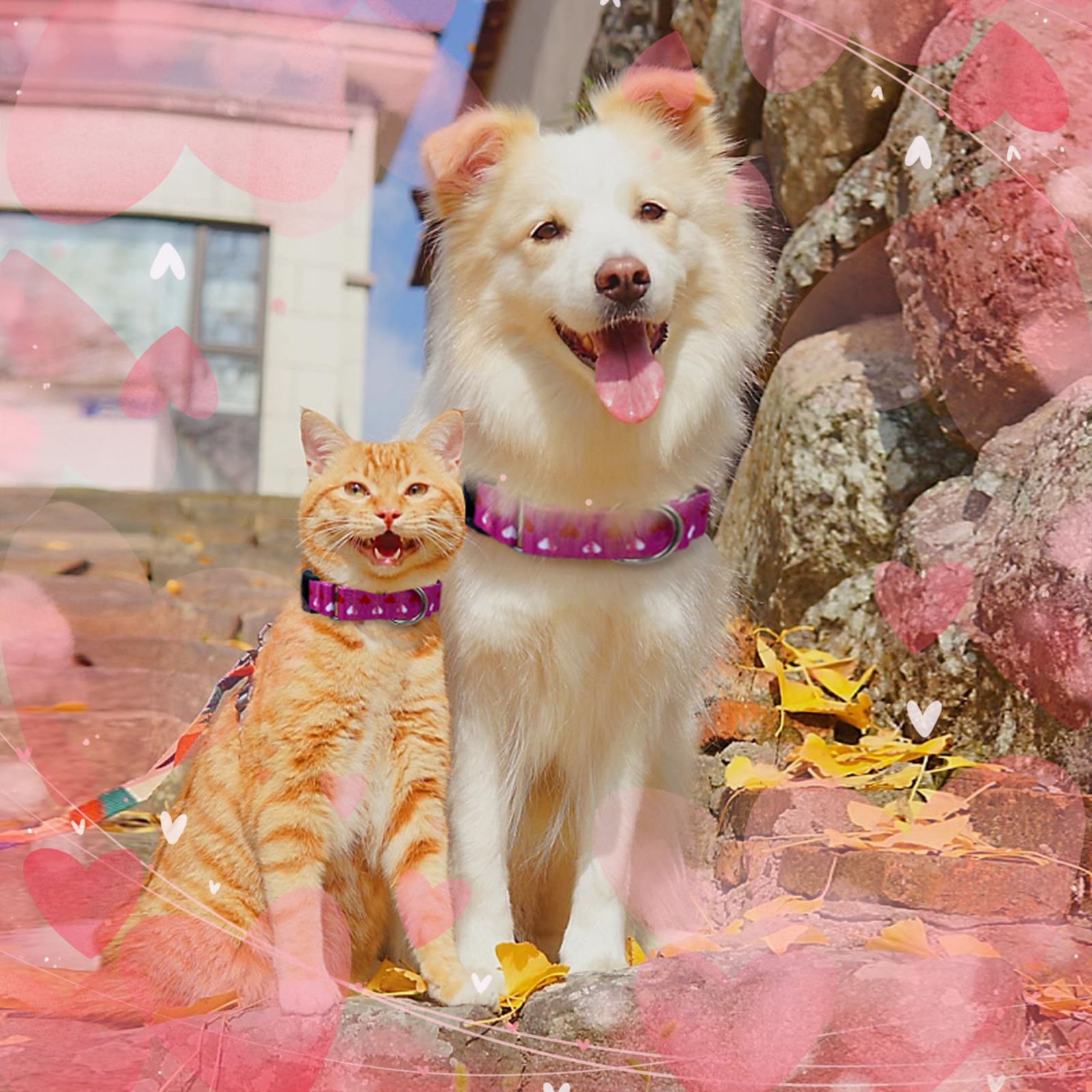 Hikiko Valentine'S Day Dog Collar For Small Medium Large Dogs Adjustable Heart Martingale Collars With Quick Release Buckle (Pin