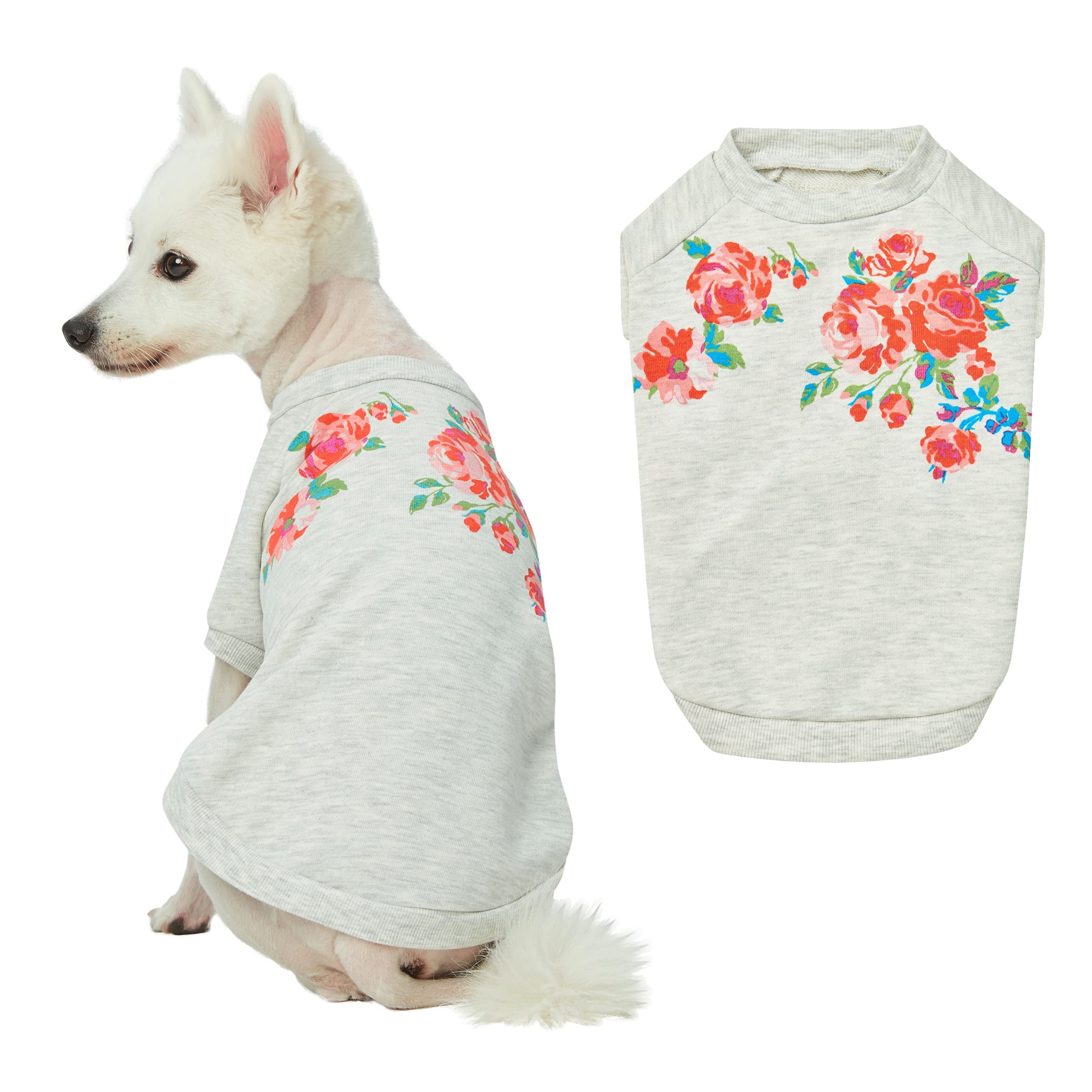 Blueberry Pet Love At First Sight Rose Flower Pullover Dog Sweatshirt In Grey, Back Length 16'', Pack Of 1 Clothes For Dogs