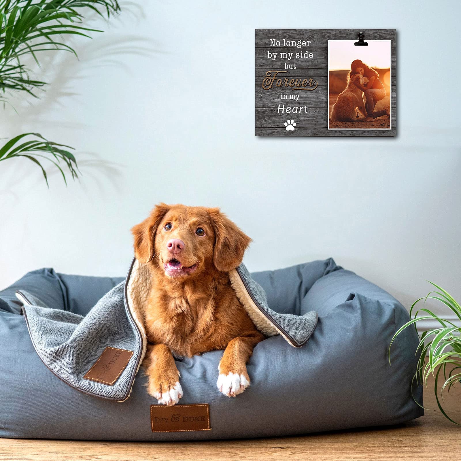 Kingnow Dog Memorial Picture Frame Pet Memorial Gifts Pet Loss 4X6 Photo Frame