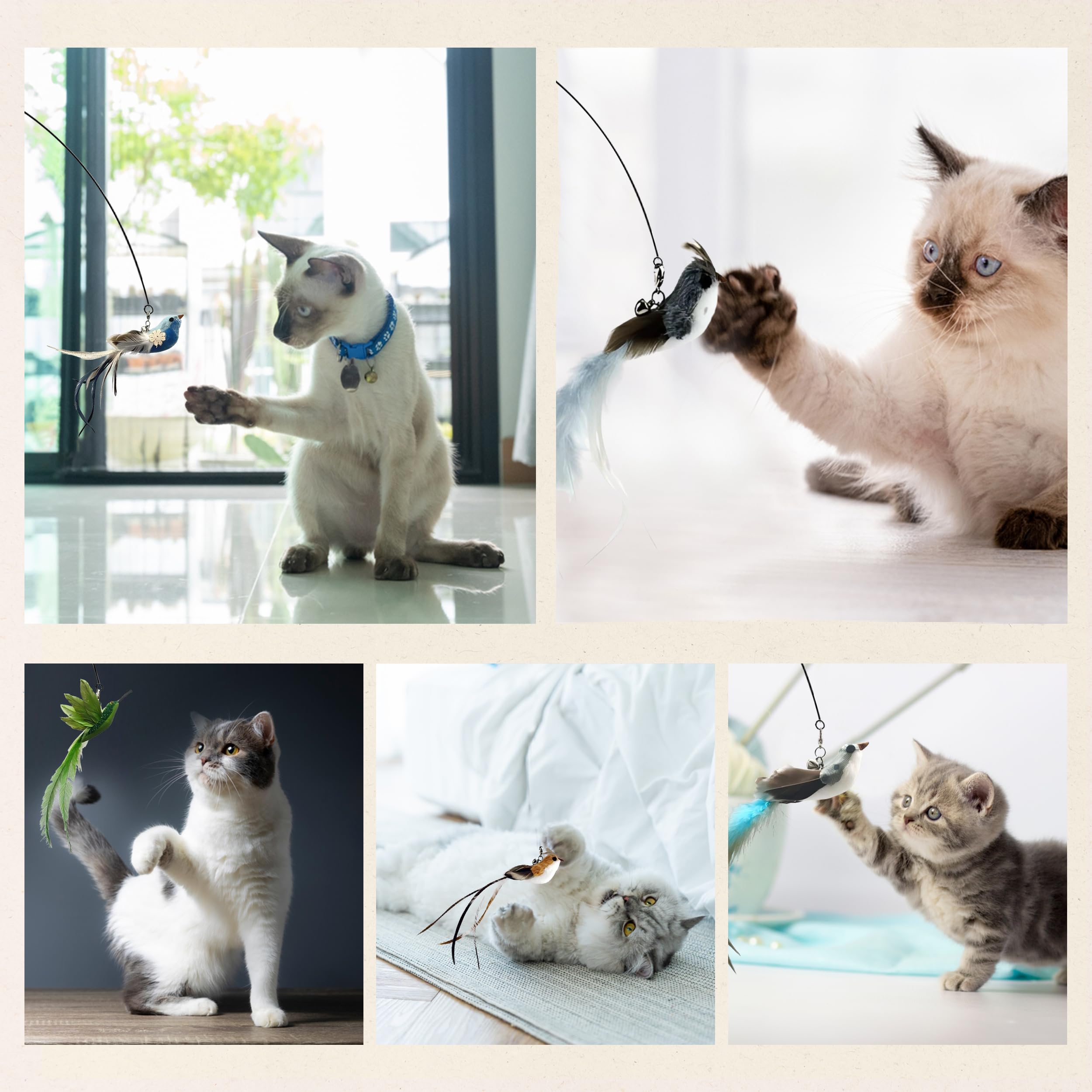 Cutie Paw Pal Deluxe Bird Replacement Heads For Cat Toys - Set Of 5 - Realistic Feather Designs Including Blue Floral, Two-Tone,