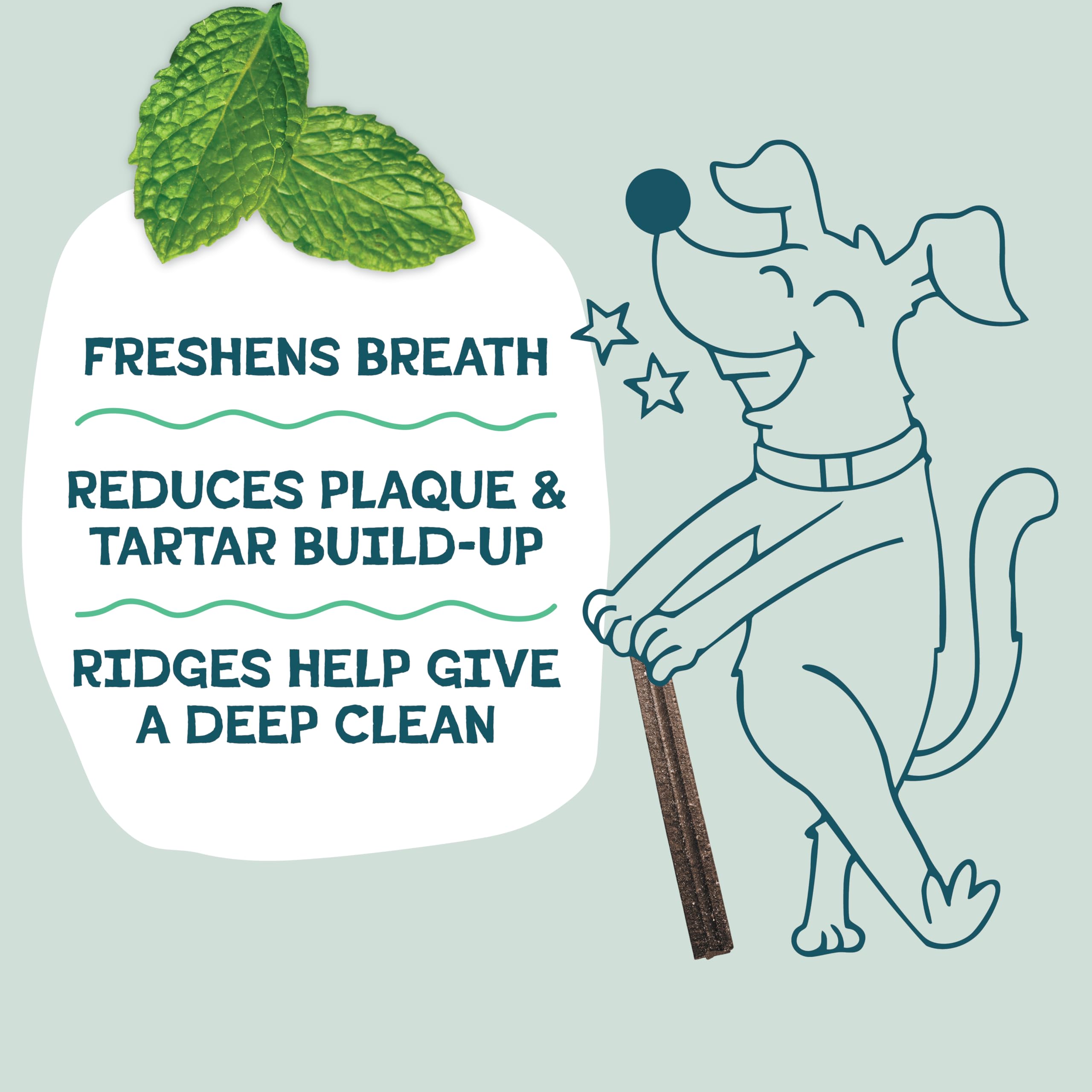 Shameless Pets Dental Chews for Dogs, Mighty Mint Dental Sticks, Healthy Treats for Teeth Cleaning & Fresh Breath - Free from Gr
