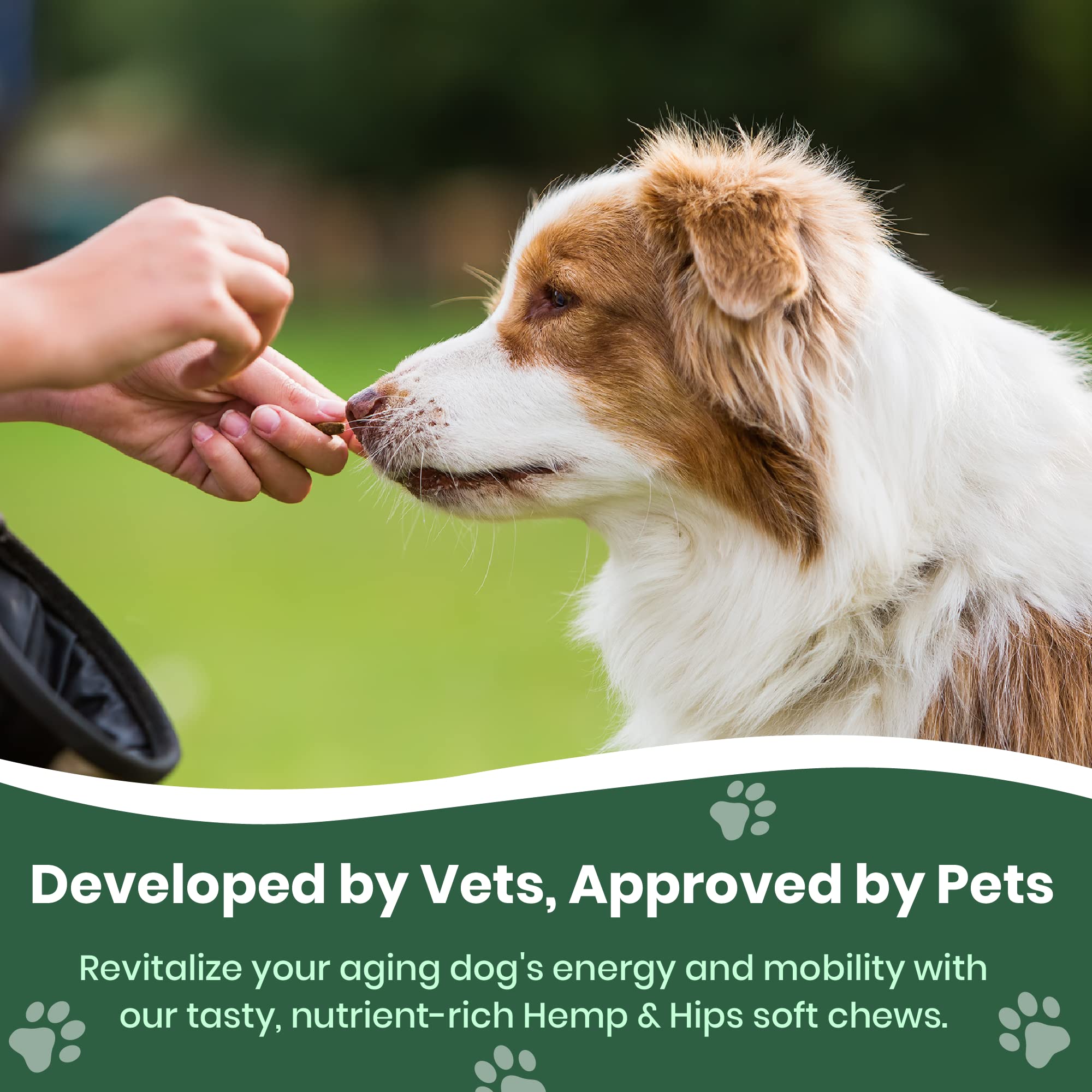 Vet Naturals Hemp & HIPS - Dog Joint Supplement Large Breed - Senior Dog Supplements - Glucosamine and Chondroitin Supplement fo