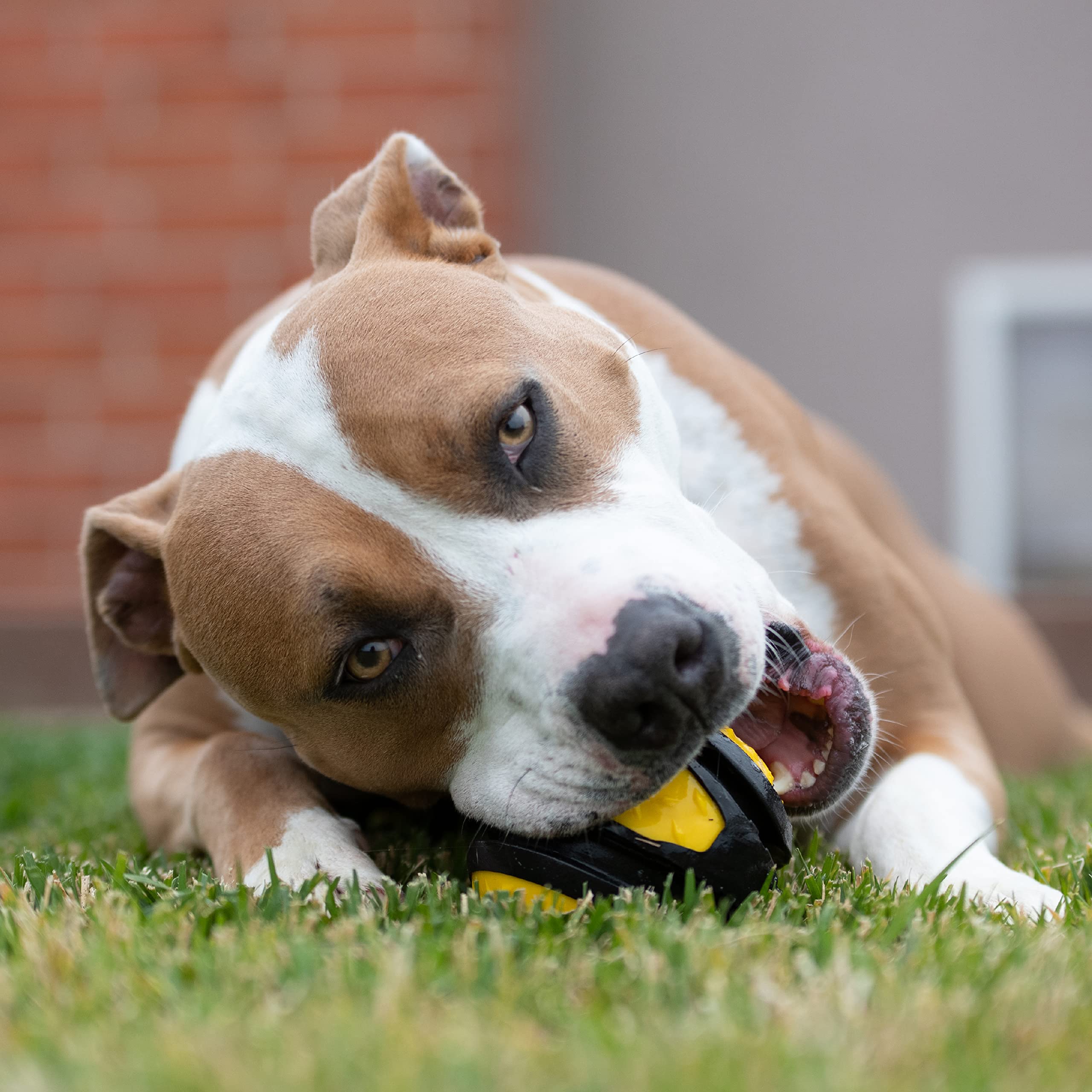 Tonka Diamond Clad Ball Dog Toy, Lightweight, Durable And Water Resistant, 4 Inches, For Medium/Large Breeds, Single Unit, Yellow/Black