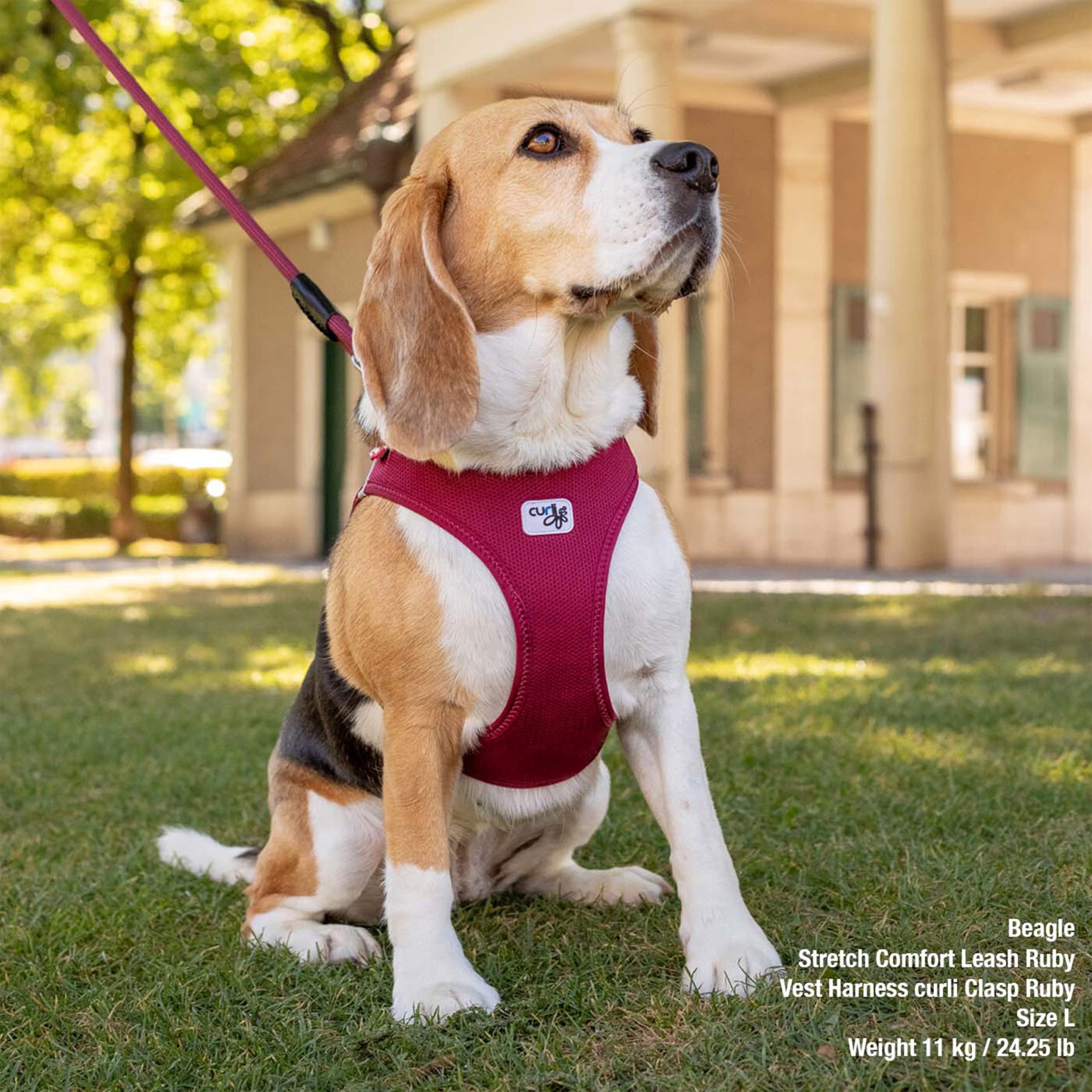 Vest Harness Curli Clasp Air-Mesh Red L