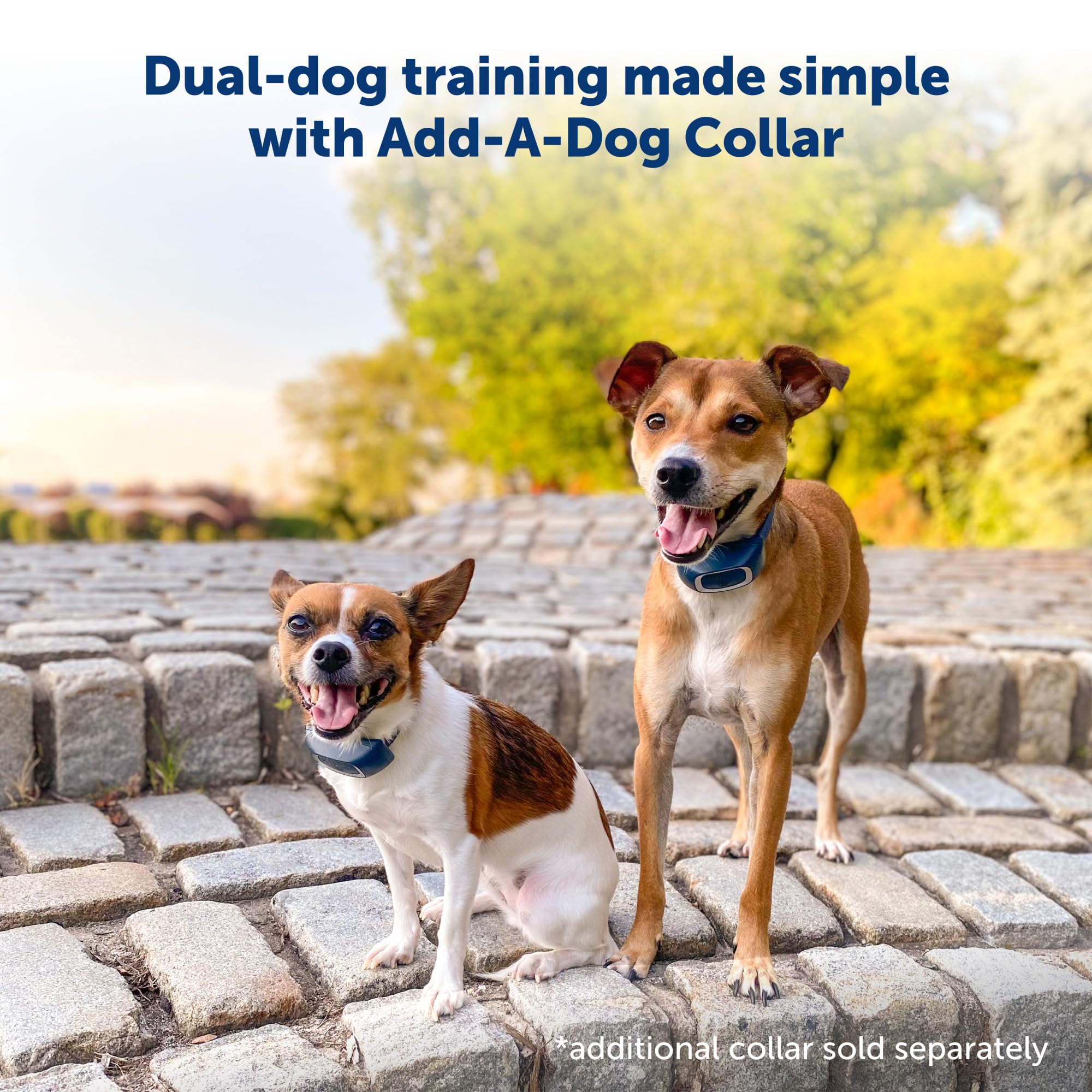 Petsafe 600 Yard Remote Training Collar – Choose From Tone, Vibration, Or 15 Levels Of Static Stimulation – Medium Range Option For Training Off Leash Dogs – Waterproof And Durable – Rechargeable