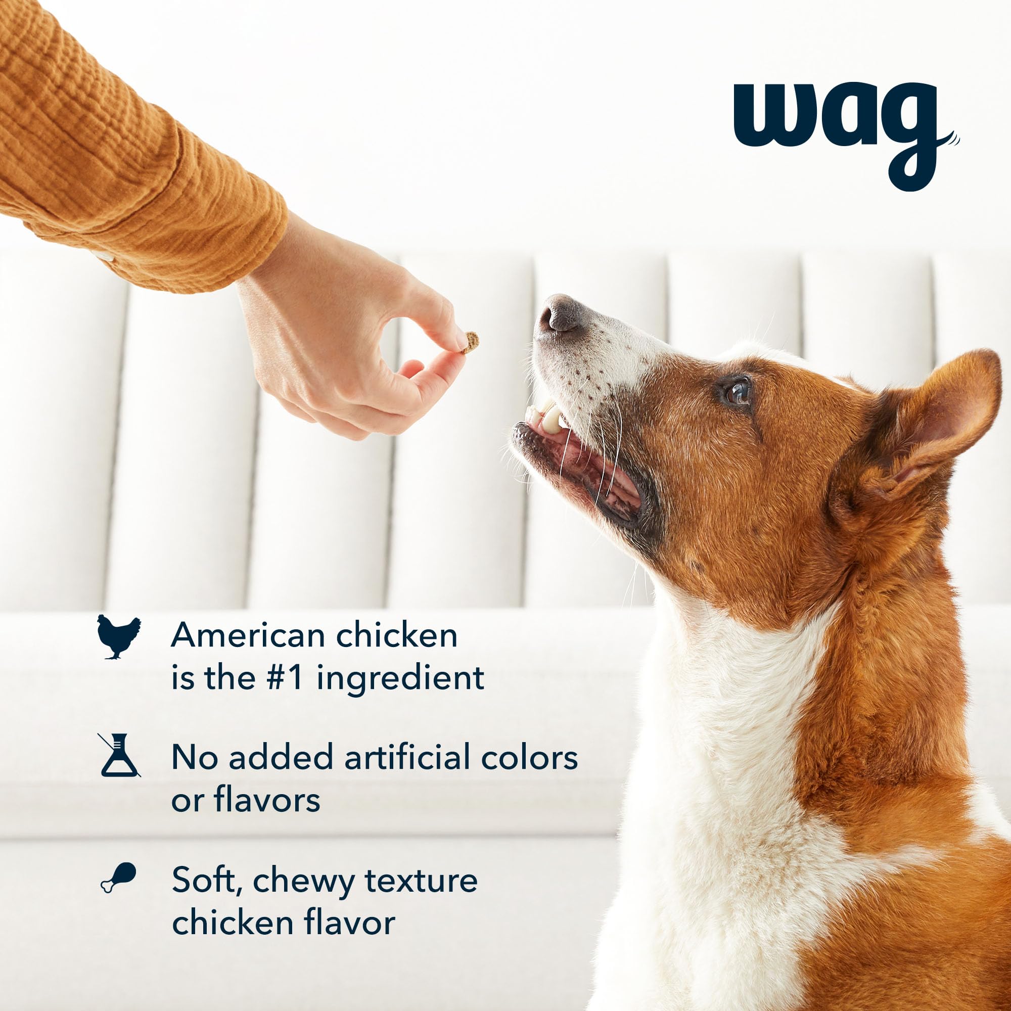 Amazon Brand - Wag Chicken Flavor Training Treats for Dogs, 1 lb. Bag (16 oz)