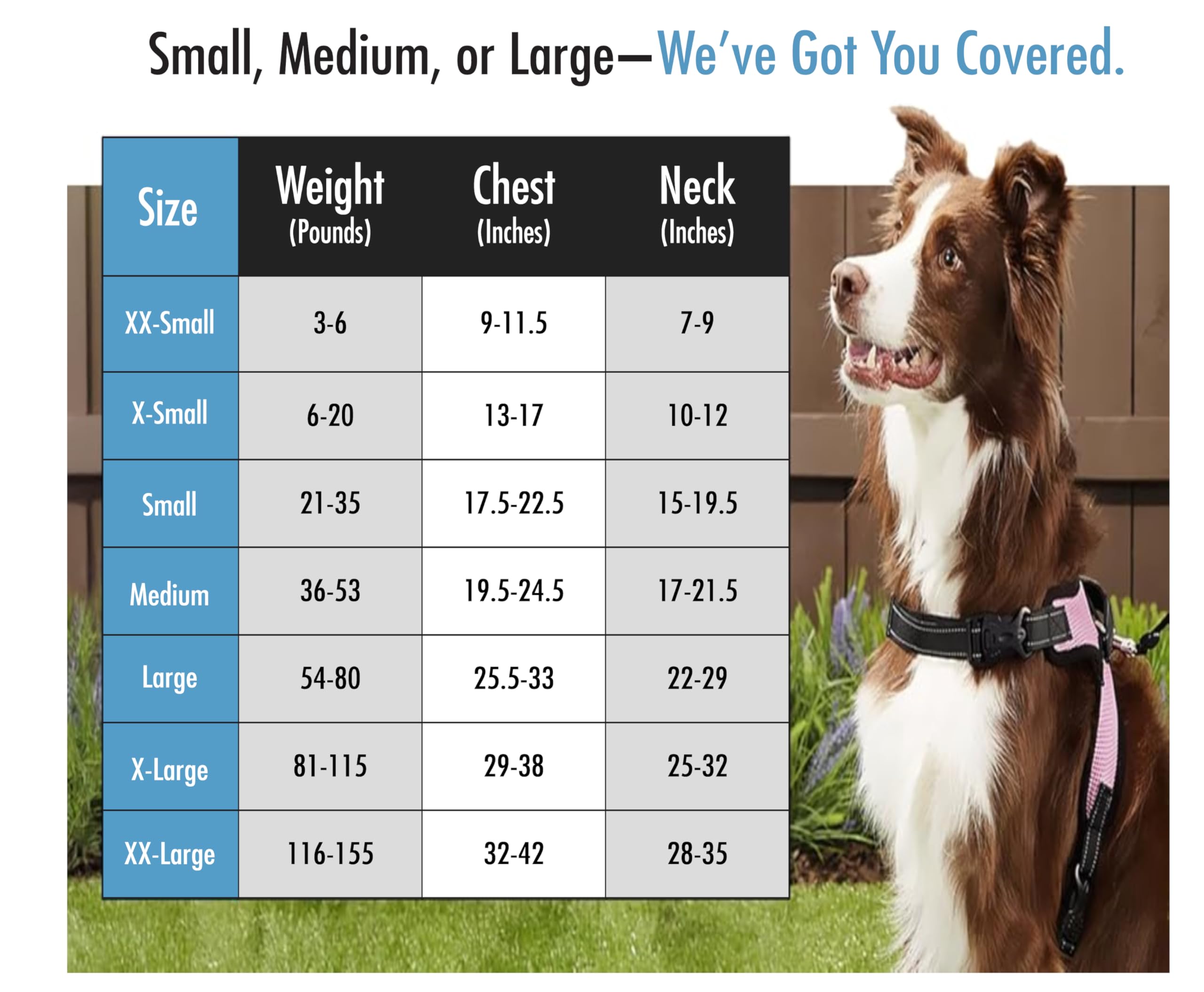 Copatchy No Pull Reflective Adjustable Dog Harness With Handle (Xlarge Blue)