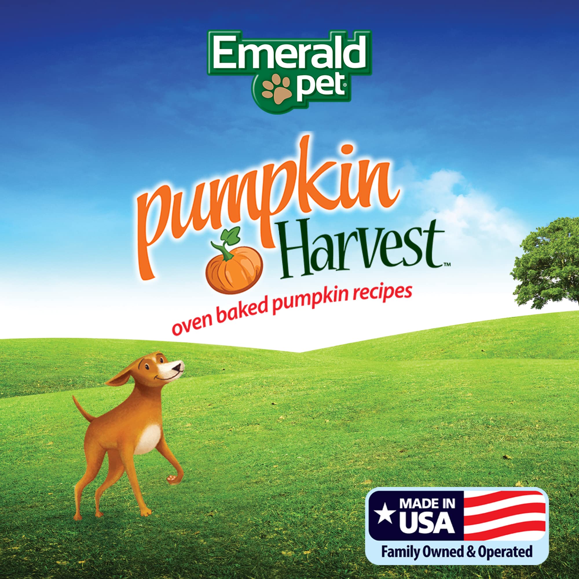 Emerald Pet Pumpkin Harvest Mini Trainers with Banana Chewy Dog Treats