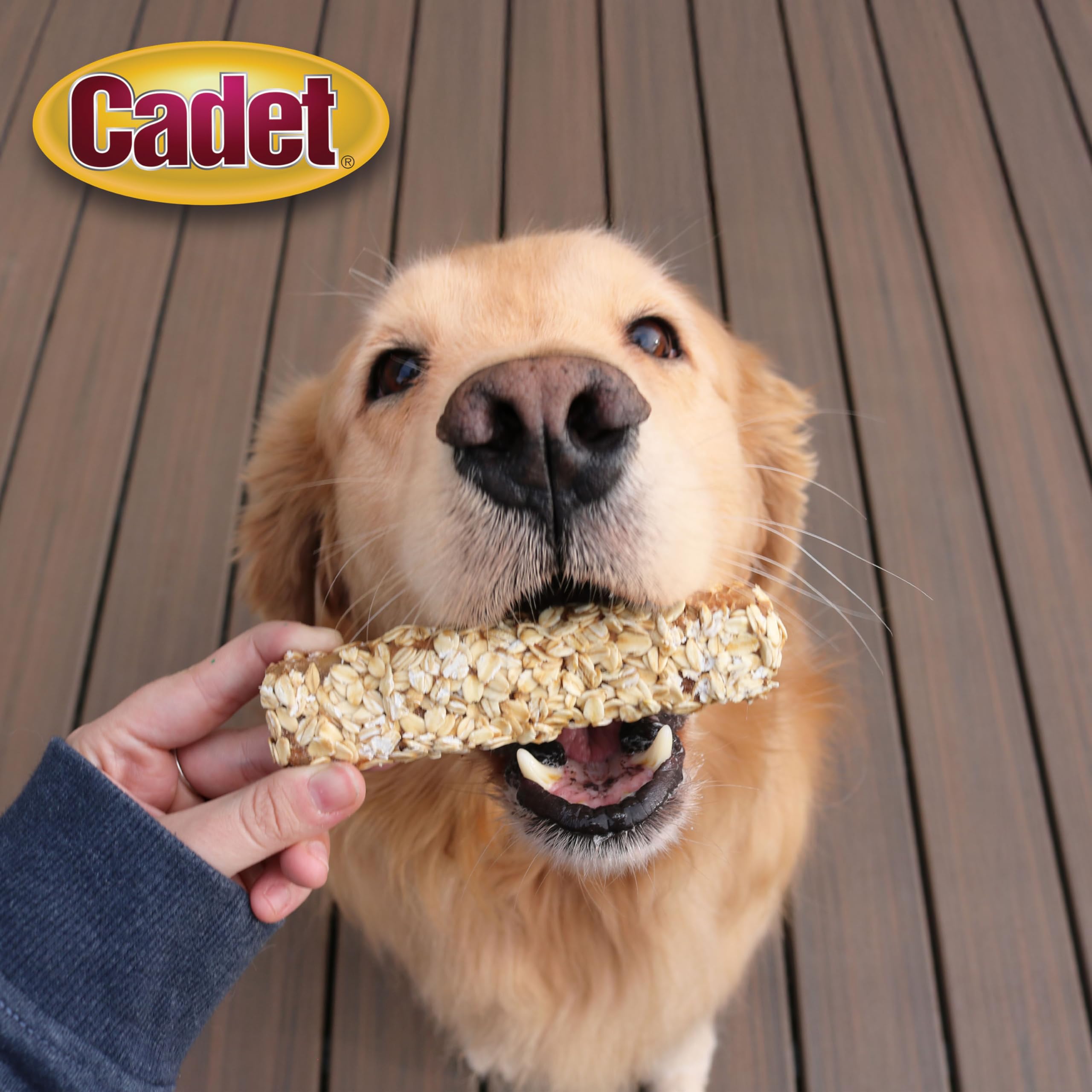 Cadet Chewalicious Layered N Dipped with Oats, Rawhide-Free Dog Chews, Limited-Ingredient & Long-Lasting Chew Treats for Dogs,