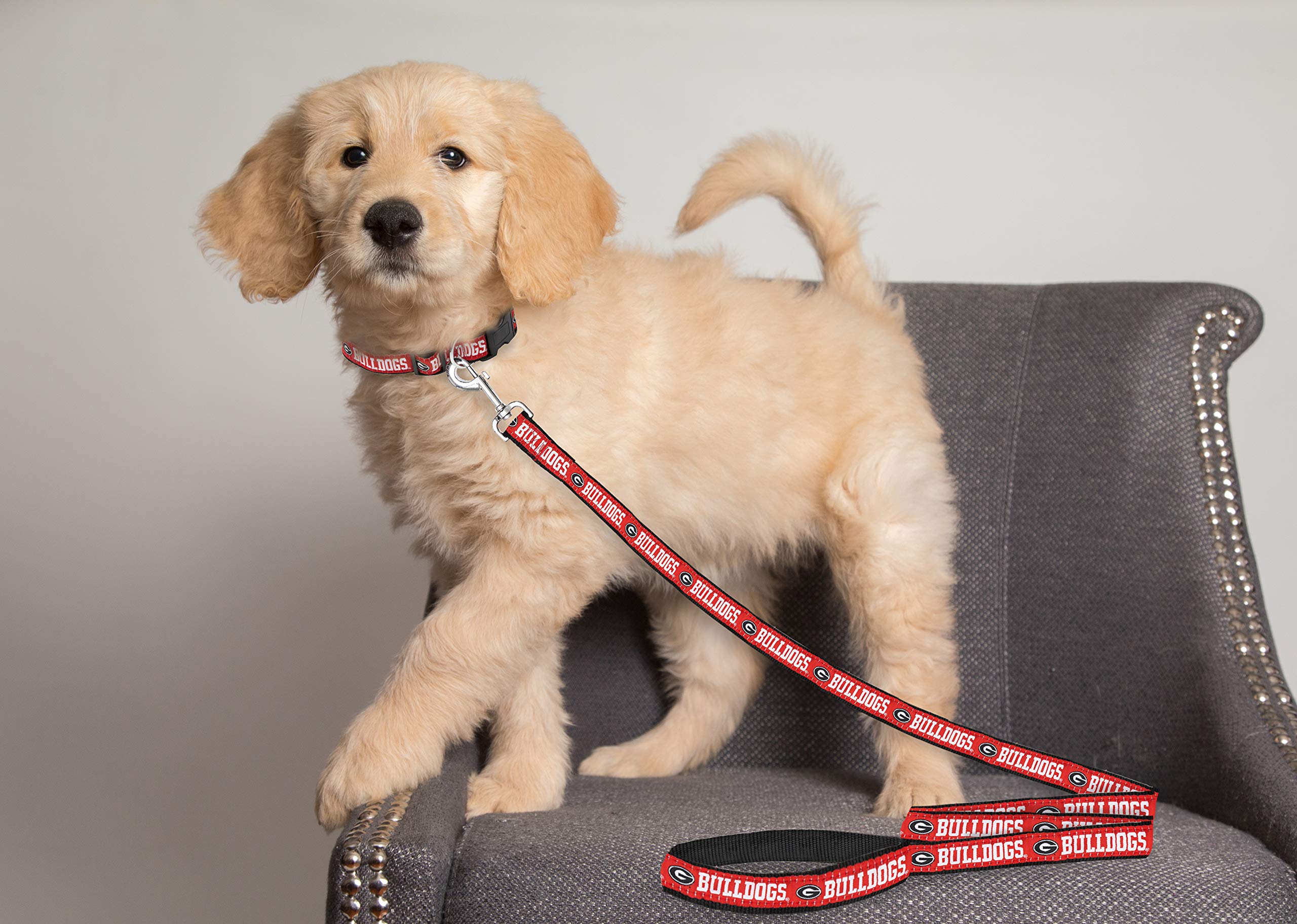Pets First Collegiate Pet Accessories, Dog Leash, Georgia Bulldogs, Large