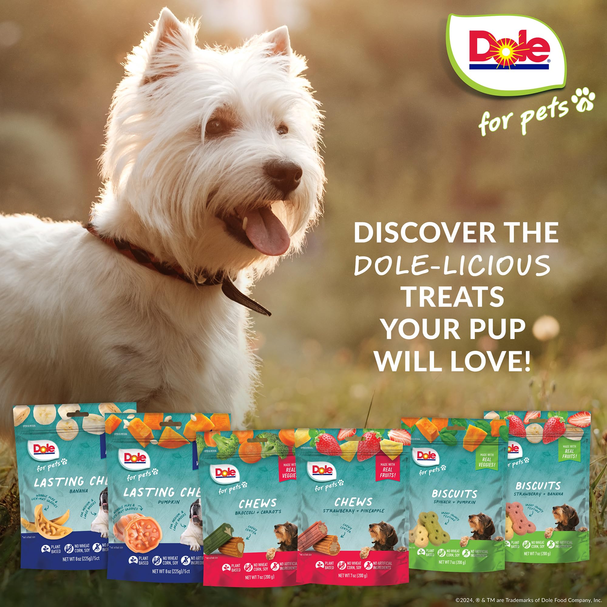 Dole for Pets Freshly Fetched Dog Chews, Assorted Broccoli & Carrot Flavor Dog Treats | Flavored with Real Veggies, No Wheat, Co