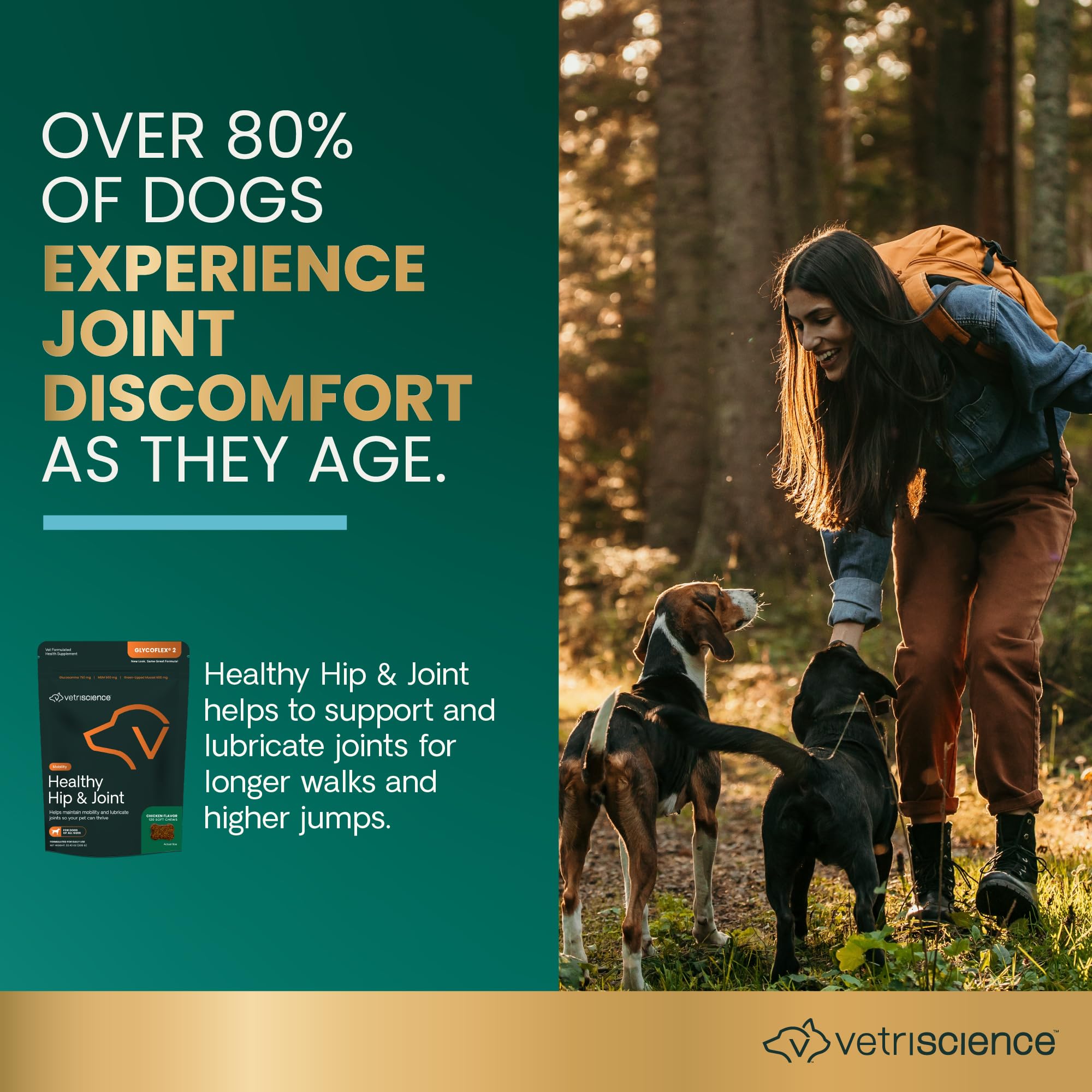 VetriScience Healthy Hip & Joint Glucosamine Supplements for Dogs, with MSM & Green-Lipped Mussels for Dogs, Soft Chews, Chicken