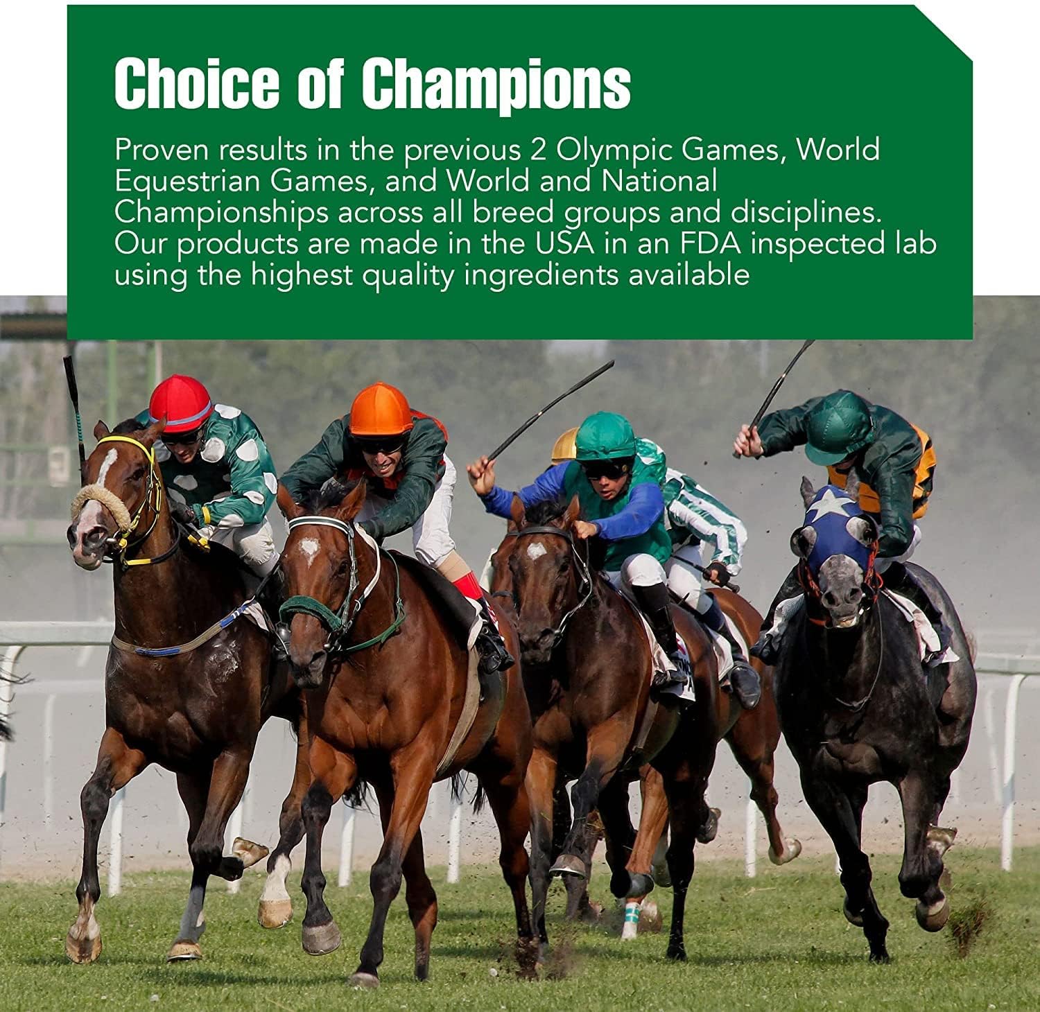 Ramard Total Calm and Focus for Horses Supplement - Magnesium & Calming Formula for Horse Show, Training, & Performance Mental A