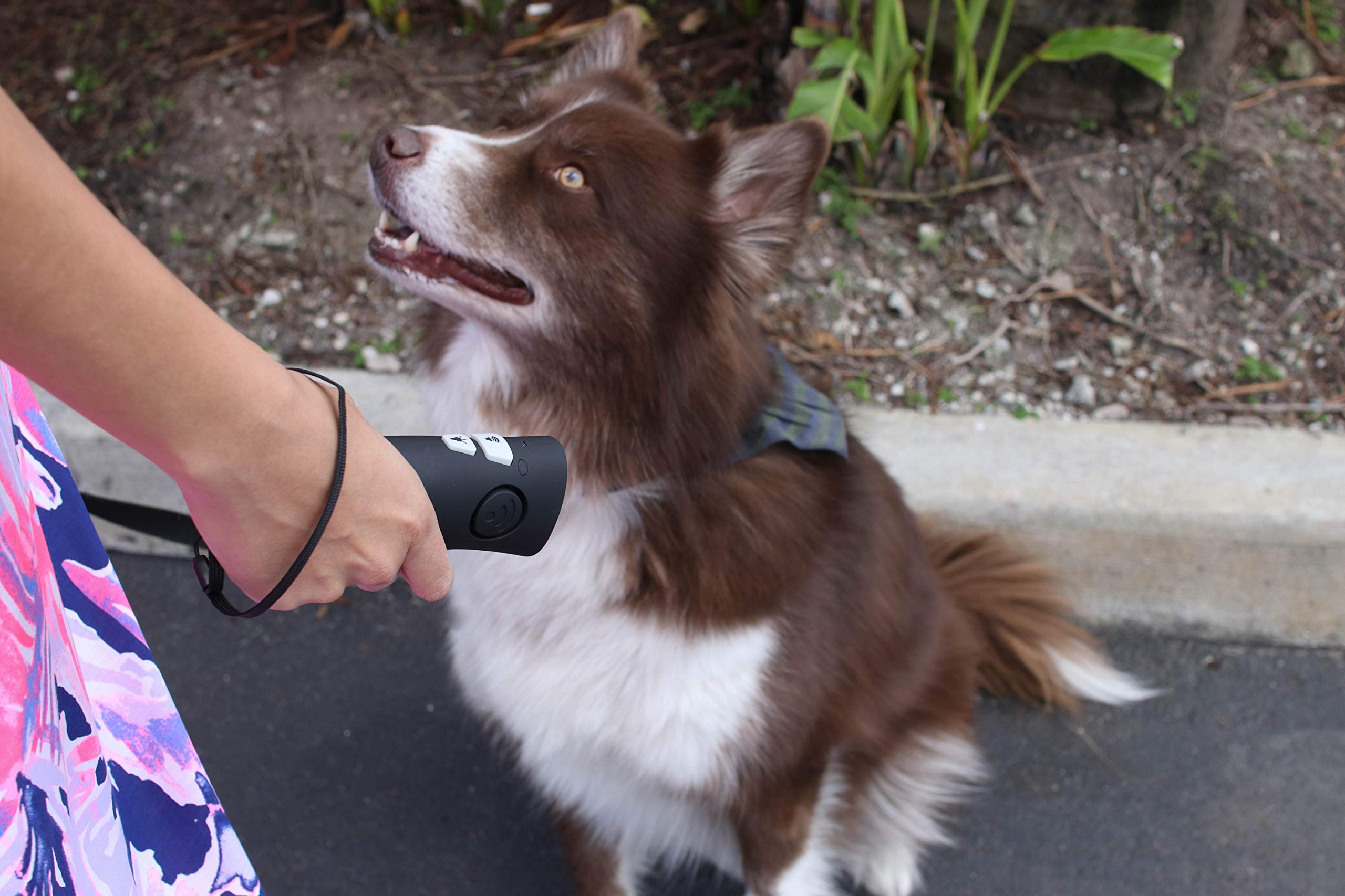 Good Life, Inc. OnGuard 3-in-1 Ultrasonic Dog Training Device - Black, No Shock, Includes Safety Alarm & LED Light