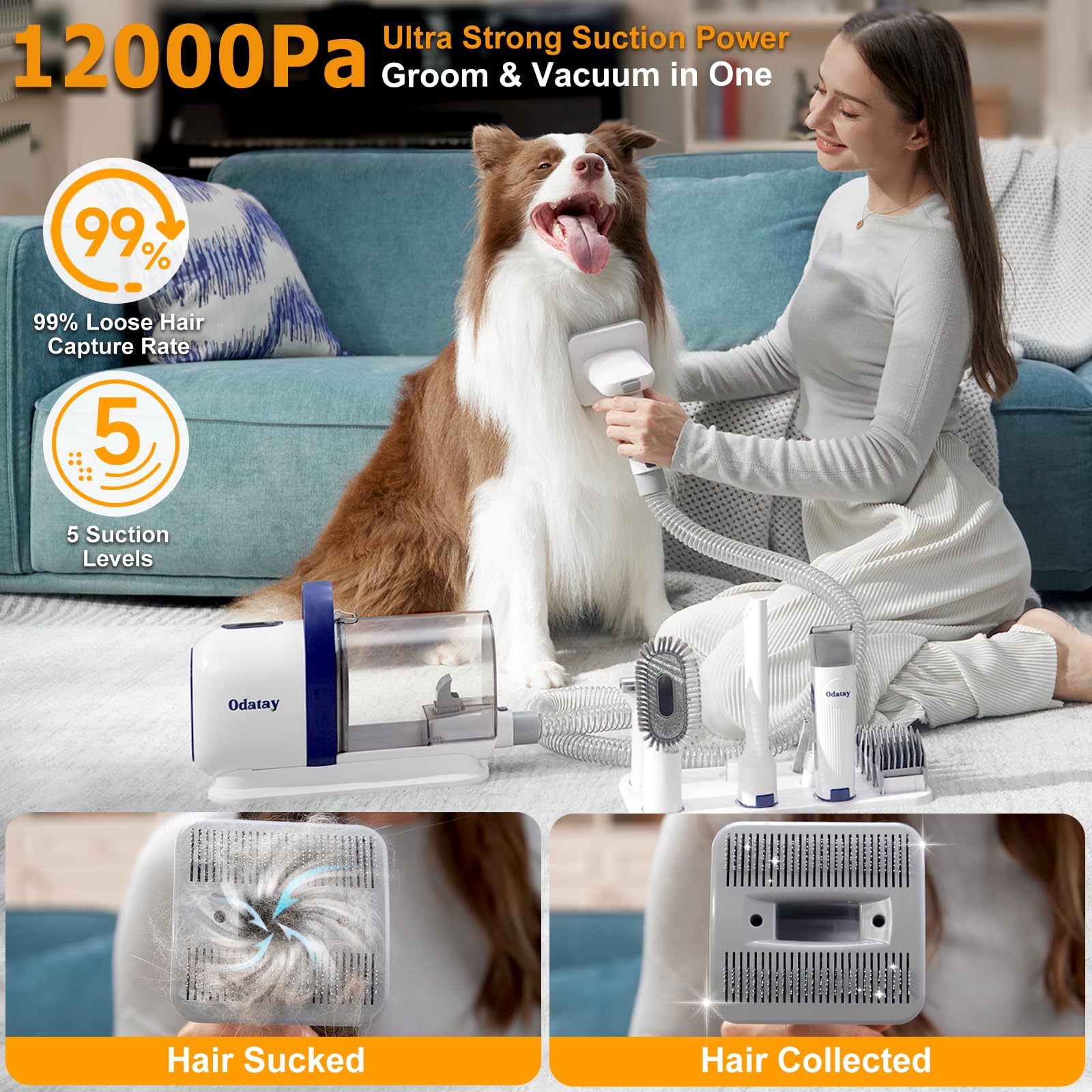 Odatay Dog Grooming Kit - 12,000Pa Pet Grooming Vacuum with Clipper, Nail Grinder & 7 Tools, 2L Dust Cup, 5 Suction Levels, Blue