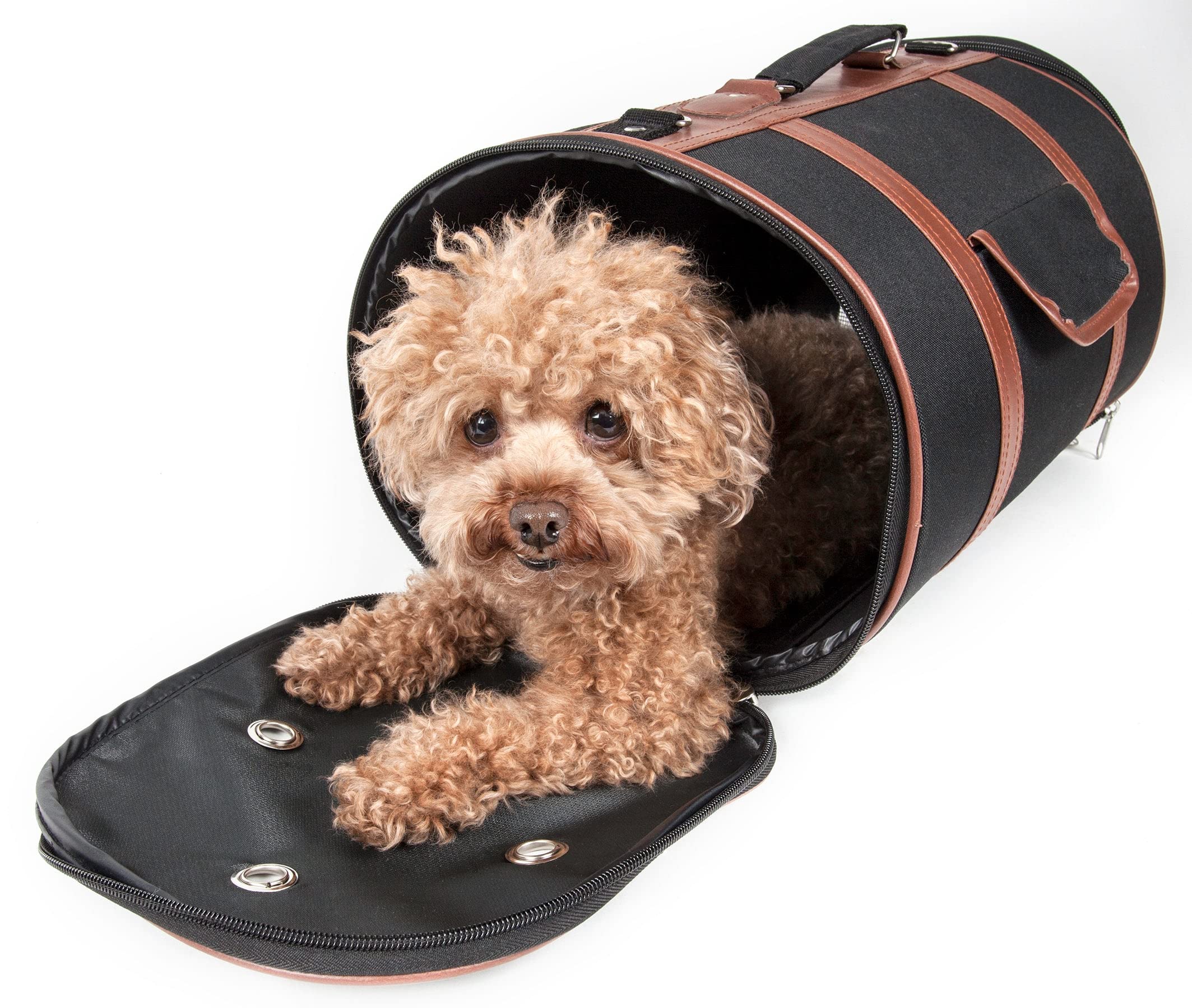 Pet Life Airline Approved Cynlider Fashion Pet Carrier - Airline Approved Travel Dog Carrier for Small Dogs and Cats