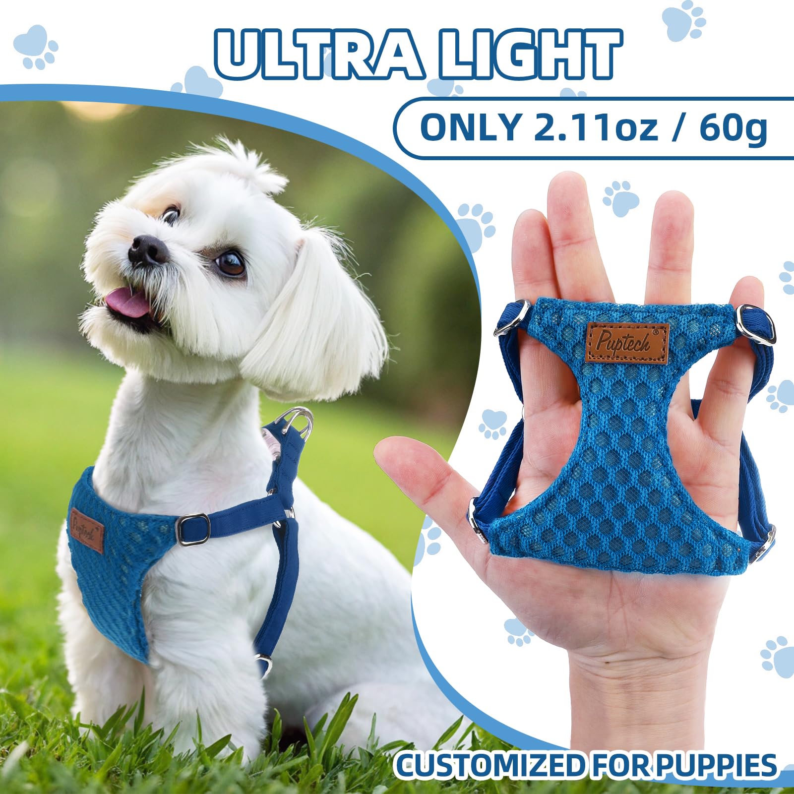 Pupteck Dog Harness And Leash Set Small Sized, Step-In Cute Puppy Harness, Soft Lightweight Padded Vest, Escape Proof No Pull Pe