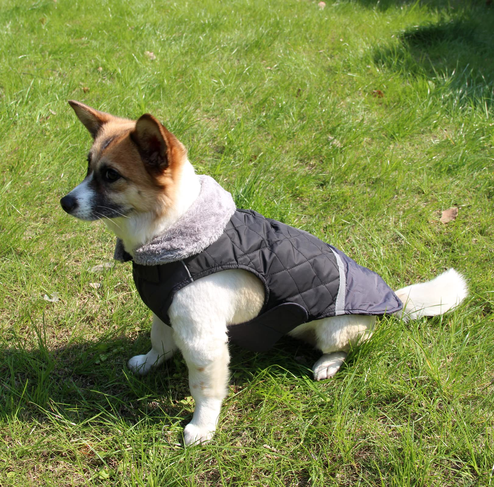 Joydaog Fleece Collar Reversible Dog Coats For Small Dogs Waterproof Warm Puppy Jacket For Cold Winter,Black S