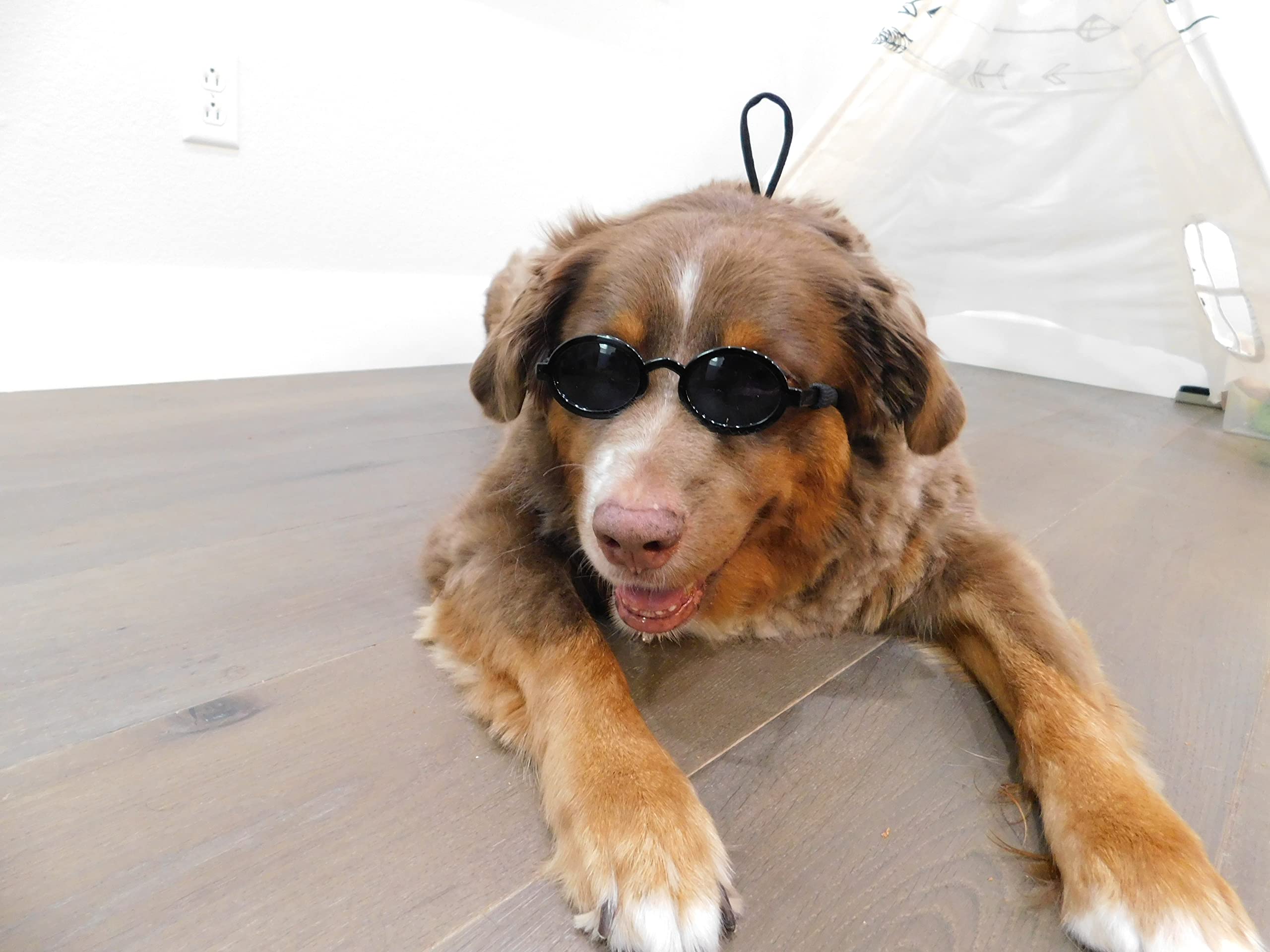 G001 Dog Cat Pet Costume Thin Oval Sunglasses Small To Medium Breeds 15-30Lbs (Ov Black)