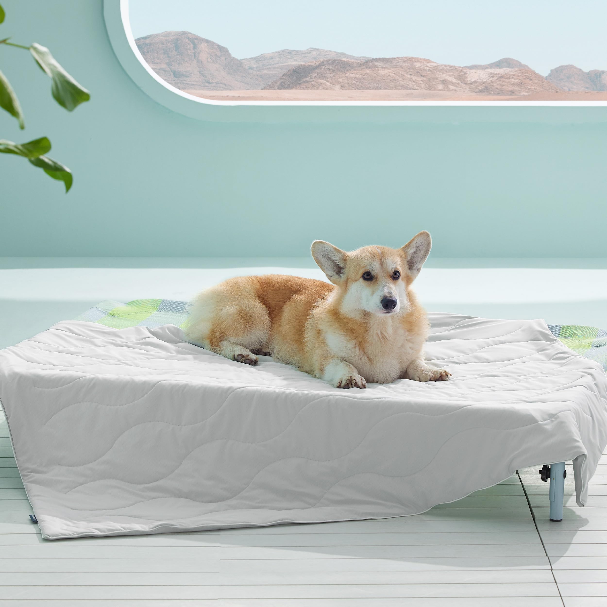 Bedsure Premium Cooling Blanket For Large Dog - Q-Max>0.5, Breathable Summer Washable Cold Pet Mat, Soft Durable Self Cooling Do